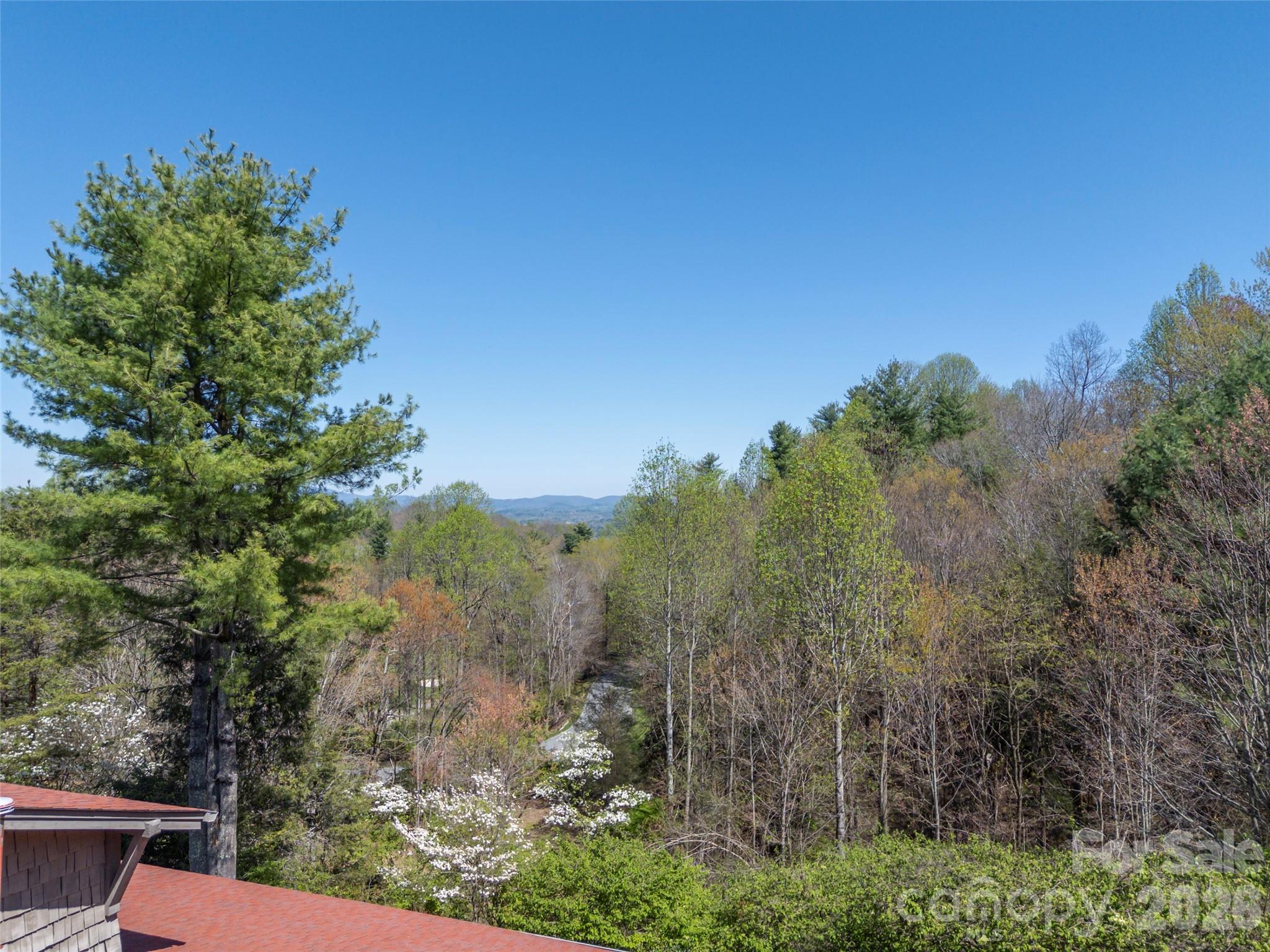 19 Lacoste Drive — Hendersonville