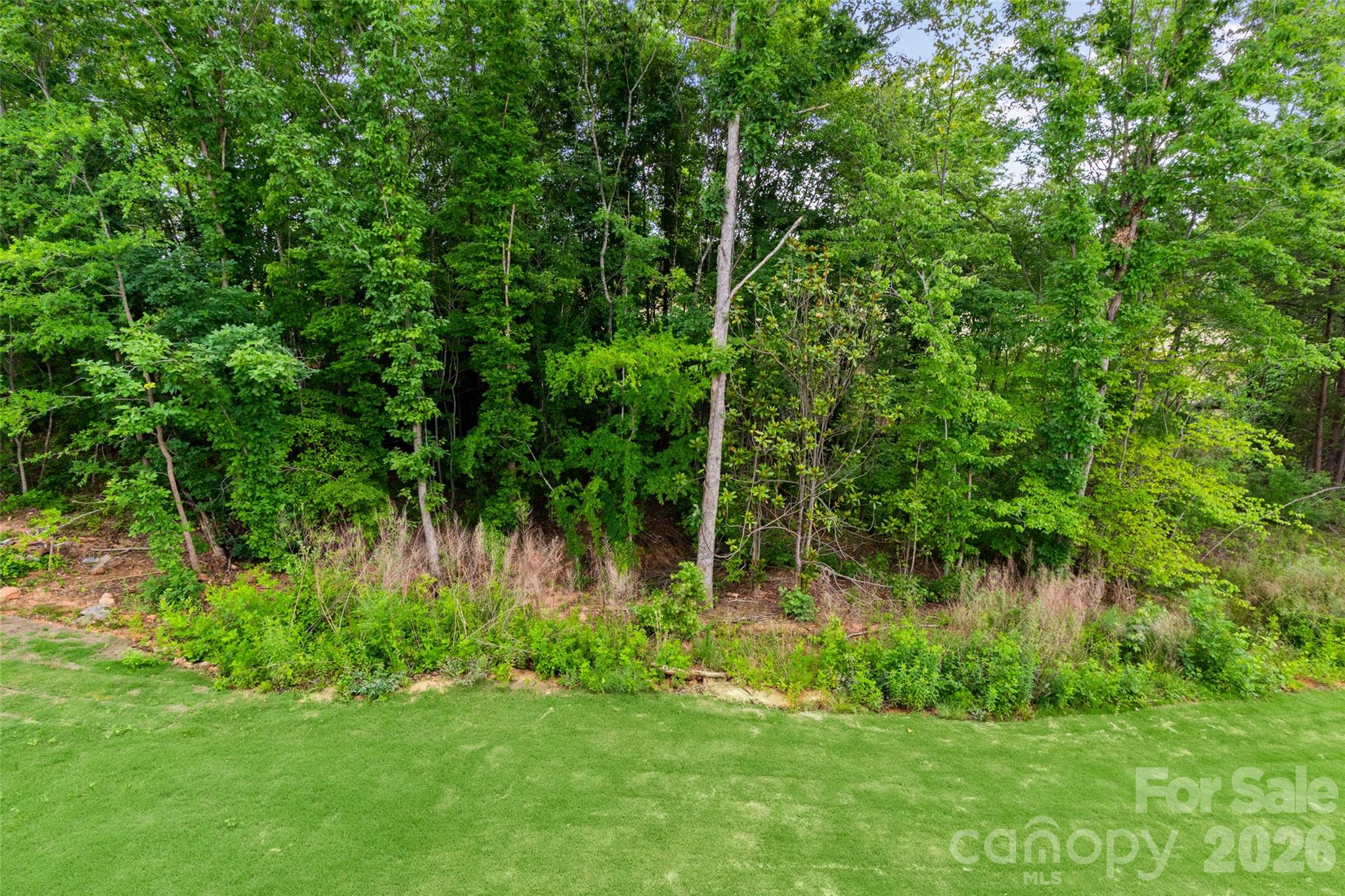 121 Tangle River Drive — Statesville