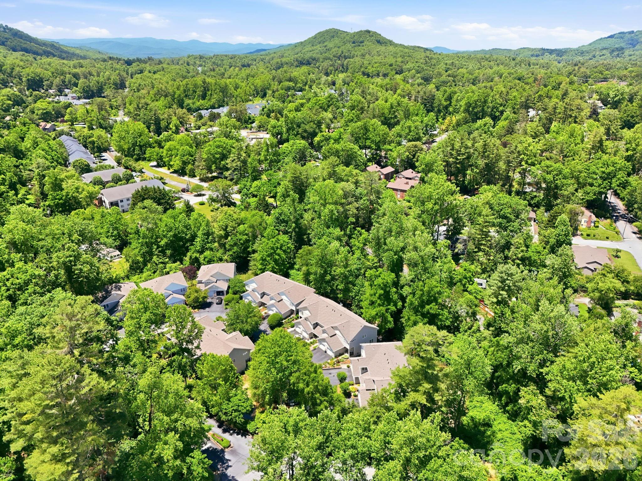 135 Ewarts Pond Road — Hendersonville
