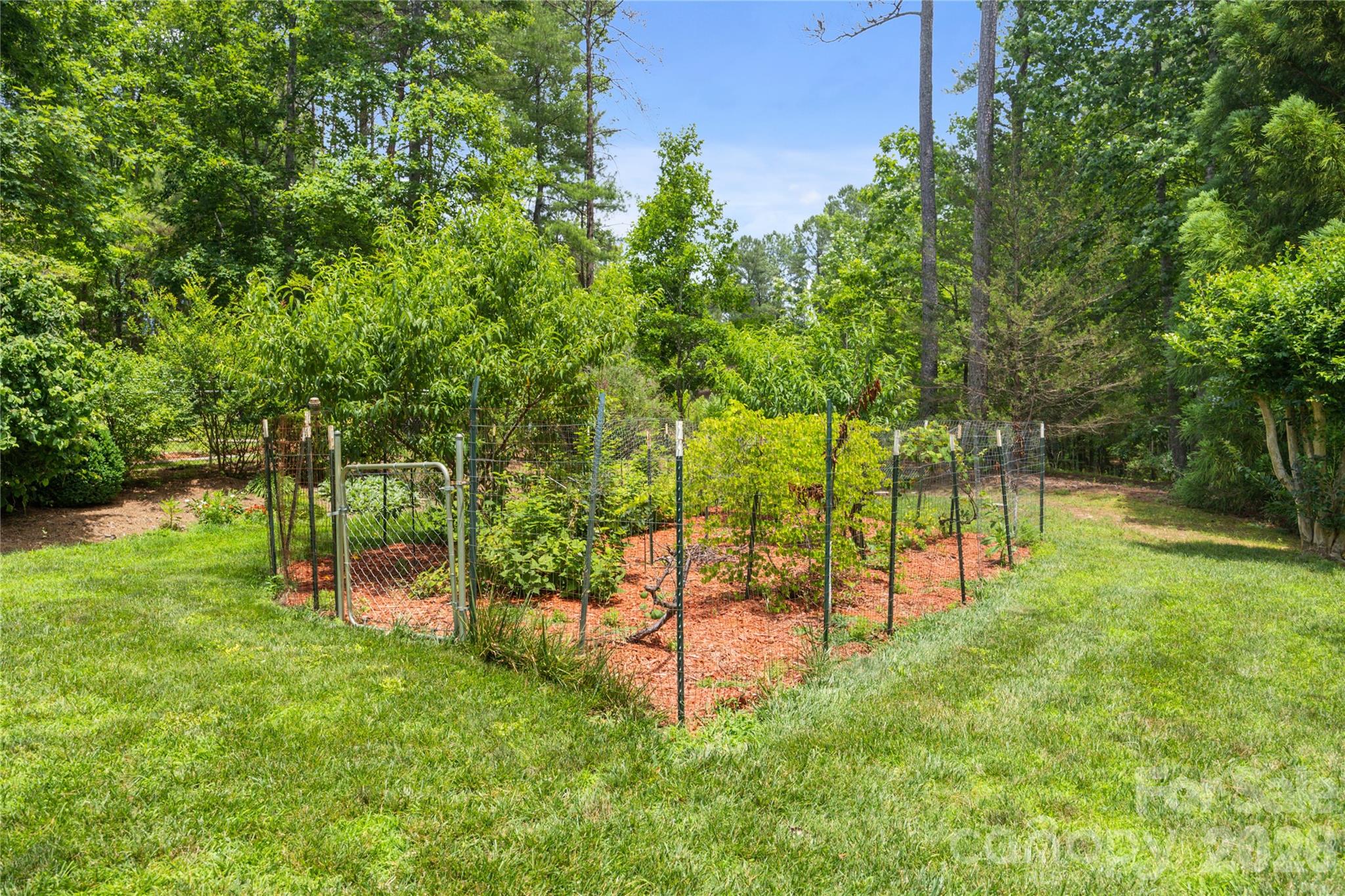 214 Harbor Ridge Drive — Connelly Springs