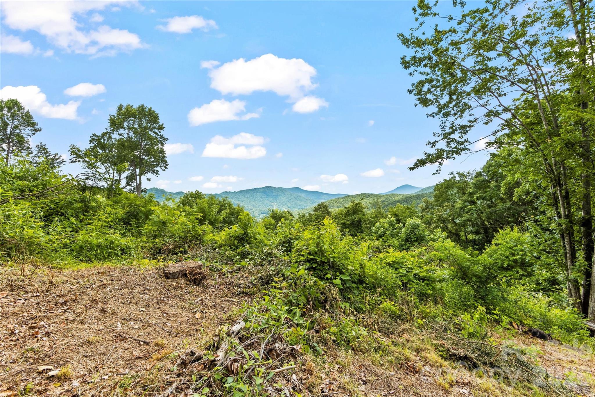 553 Paradise Mountain Road — Canton