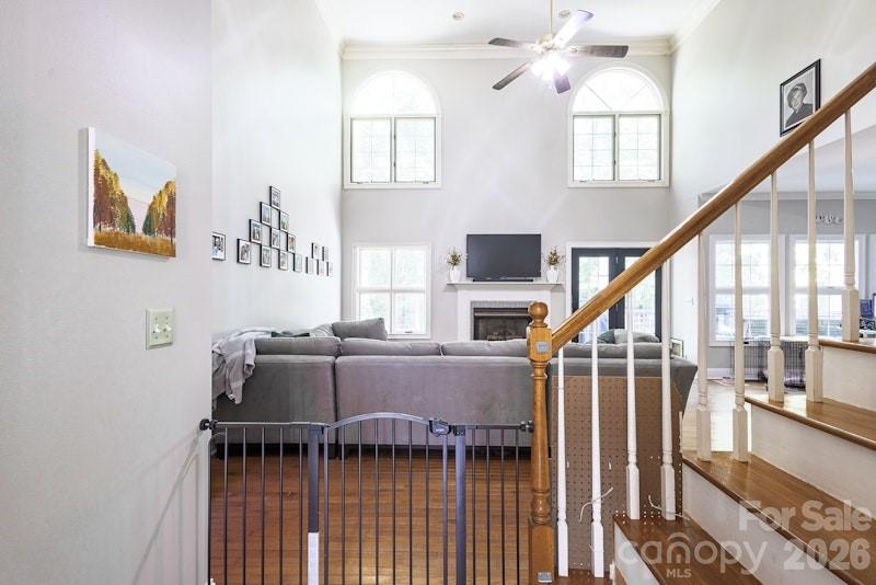 4650 Cascade Avenue — Rock Hill