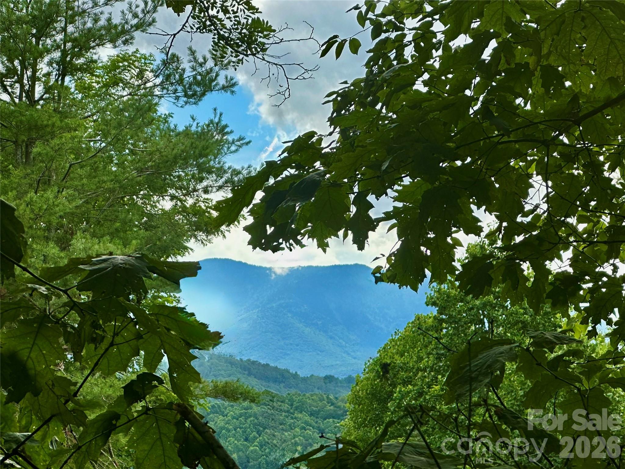 572 Blue Ridge Gem Stone Road — Spruce Pine