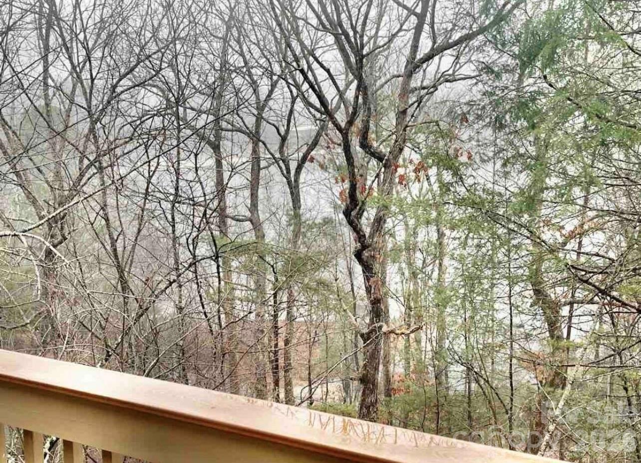 155 Quail Cove Boulevard #1608 — Lake Lure