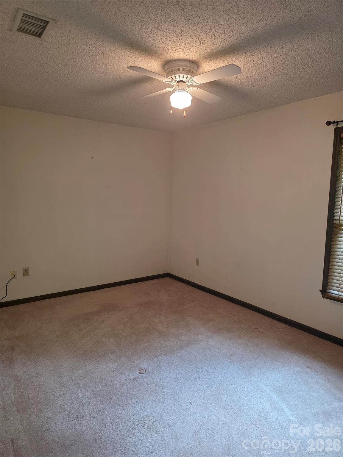 4028 Elizabeth Street — Hickory