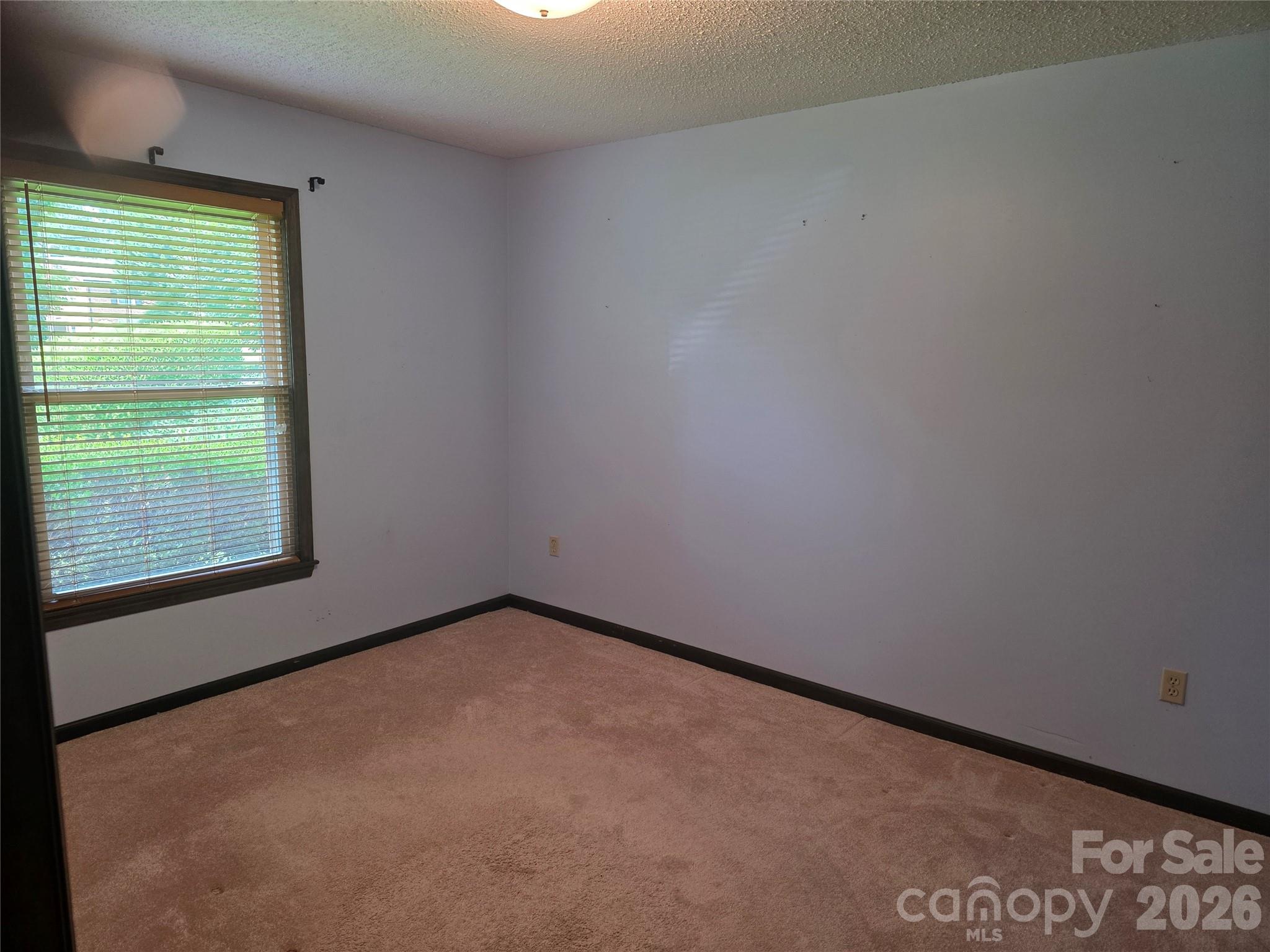 4028 Elizabeth Street — Hickory