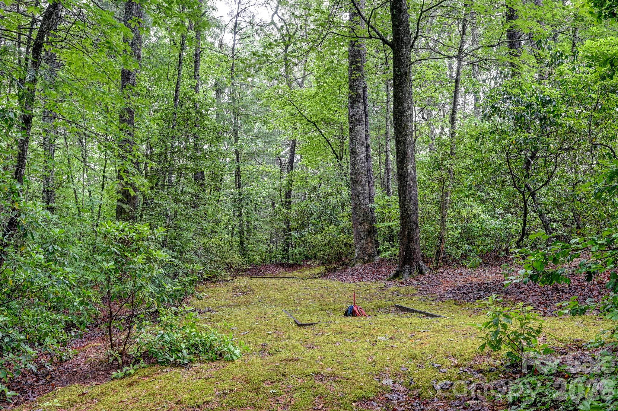 29 Shadow Brook Drive — Flat Rock