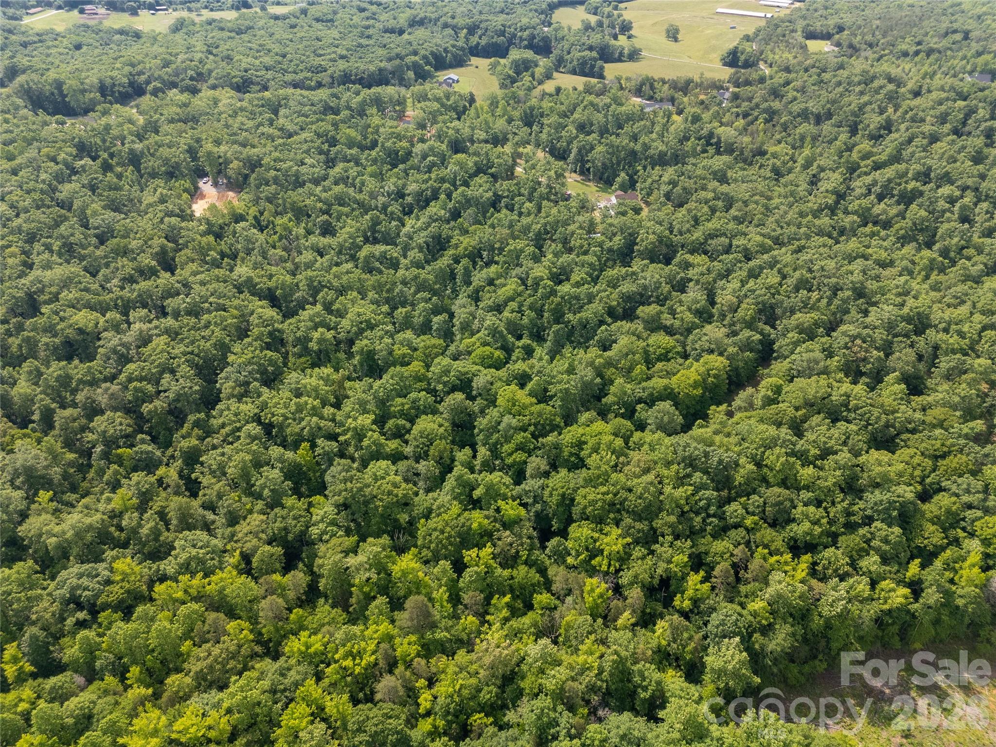 830 McGill Road — Smyrna