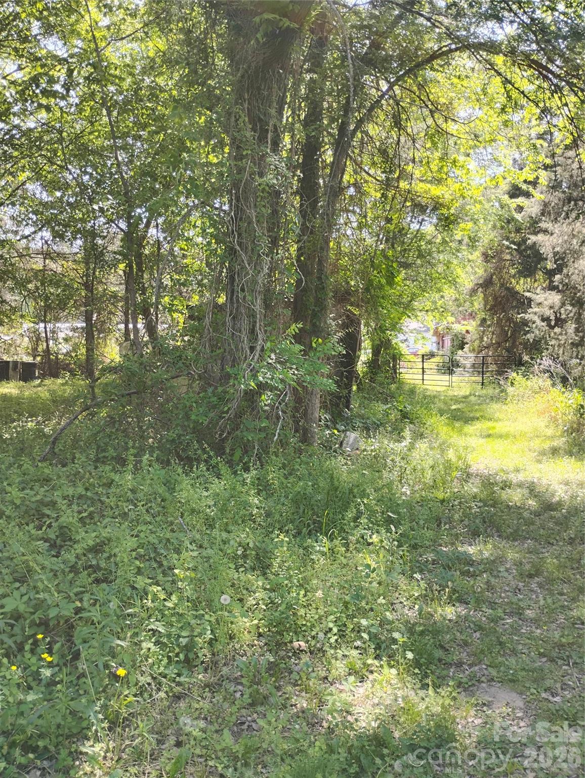 2950 Irish Potato Road — Concord