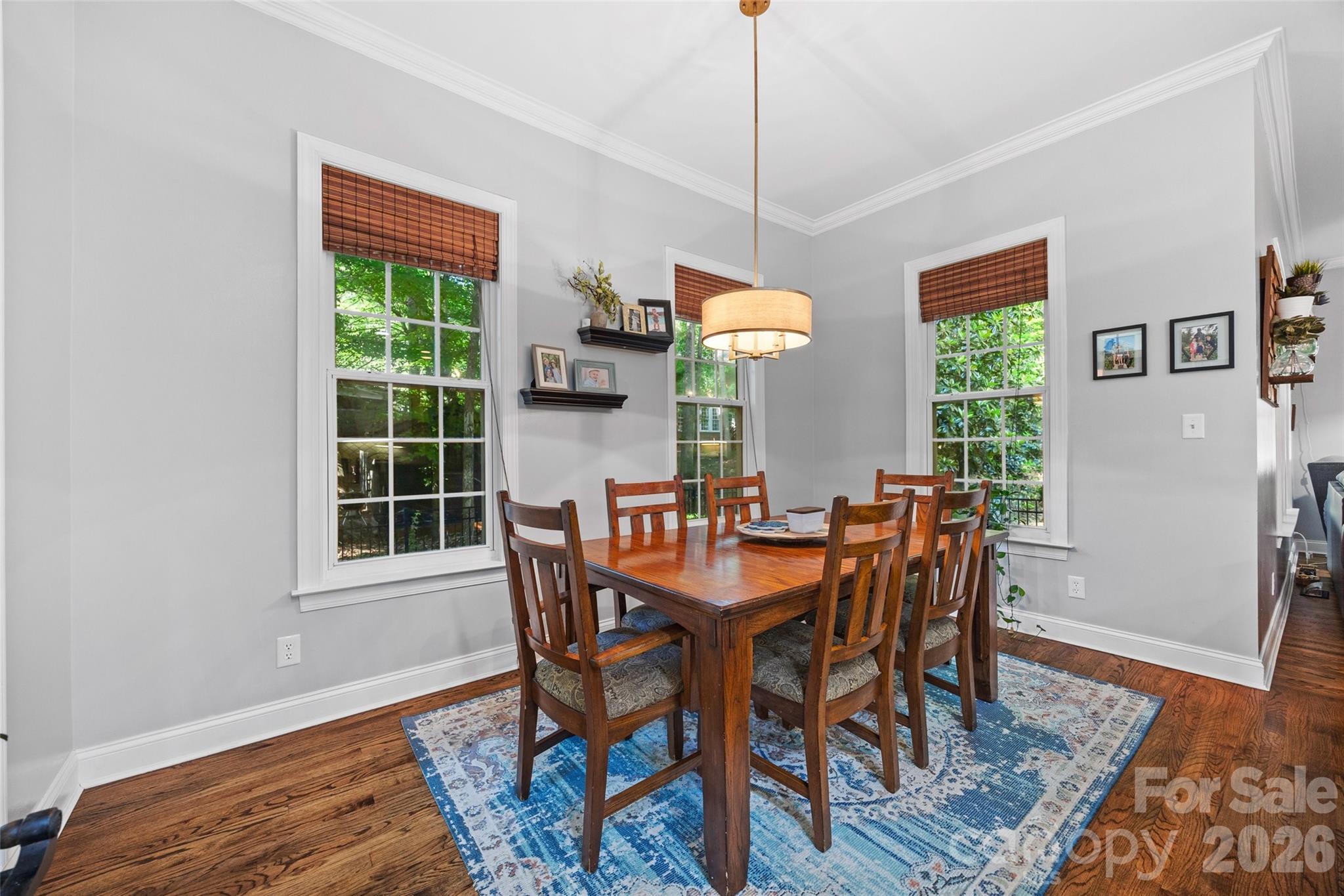 173 Mill Pond Road — Lake Wylie