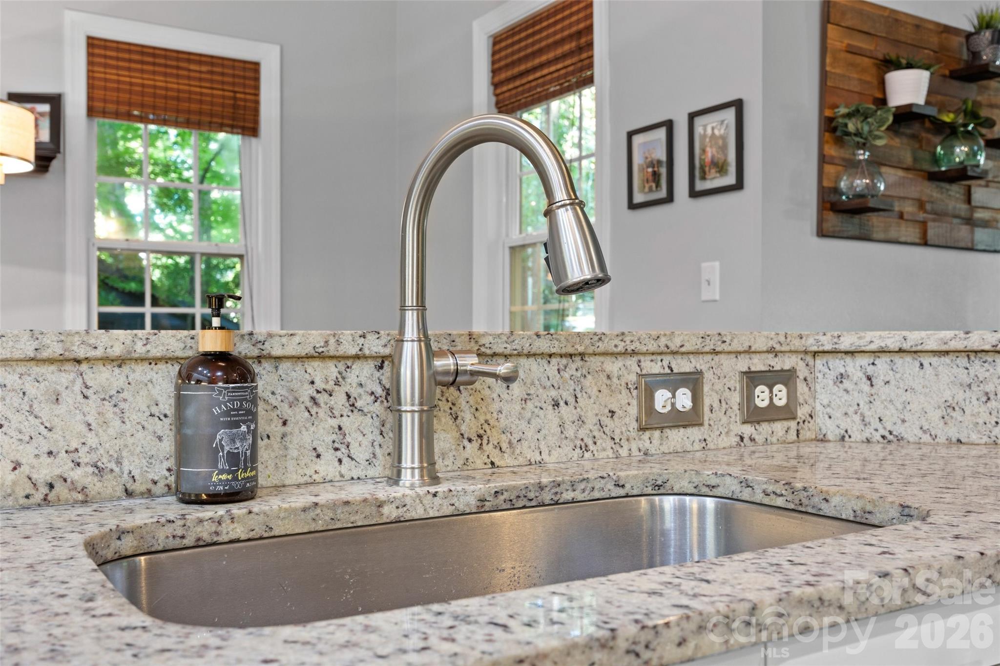 173 Mill Pond Road — Lake Wylie