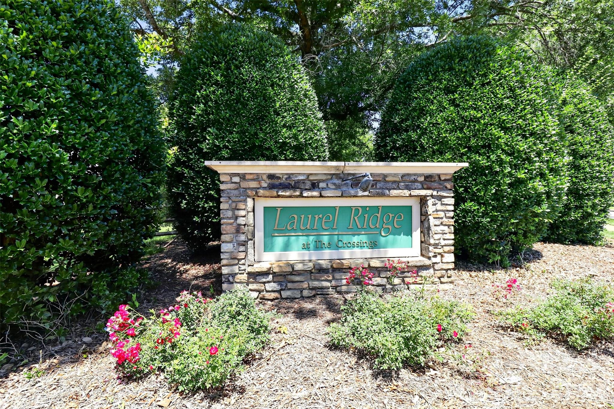 11542 Laurel View Drive — Charlotte