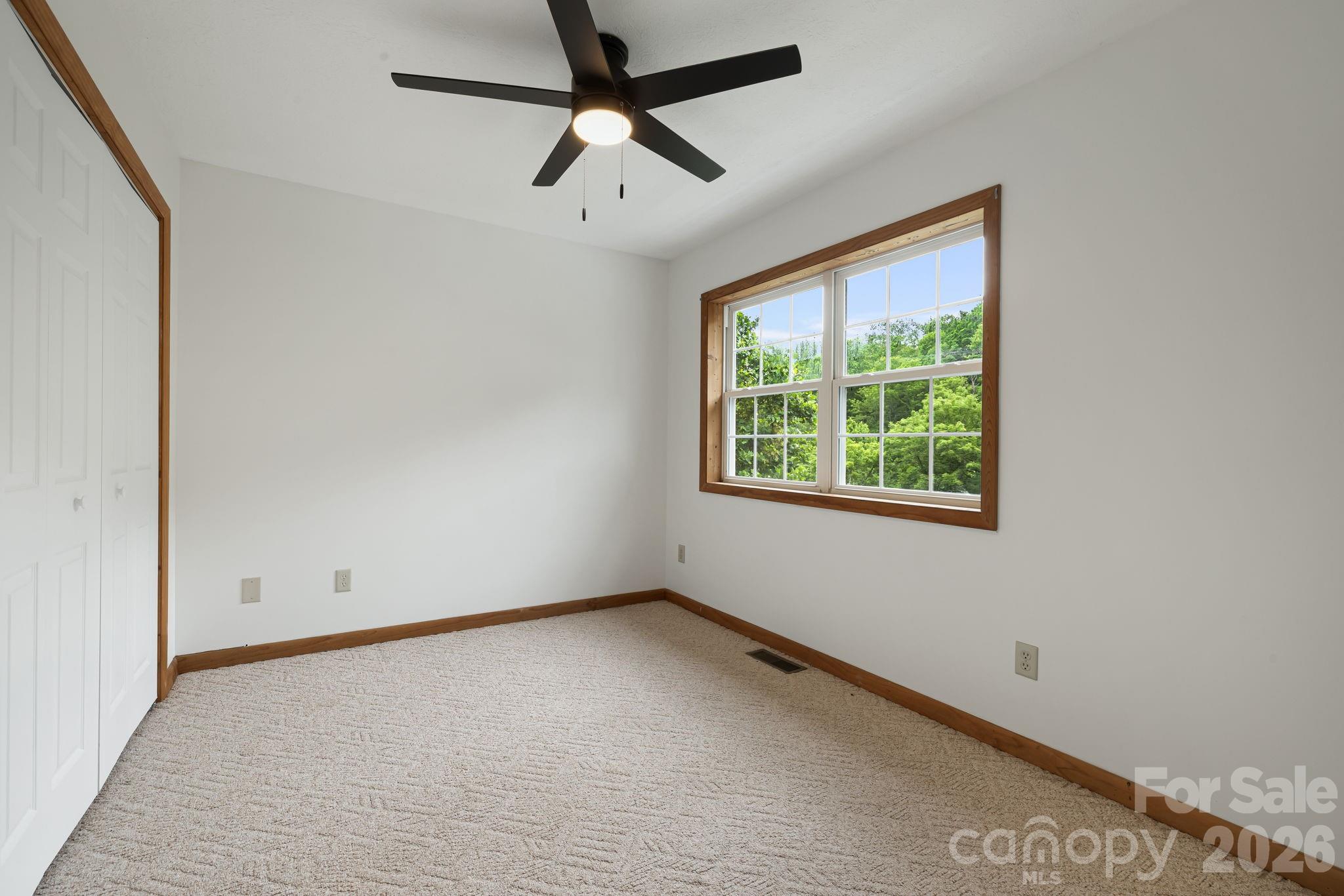 100 Woven Cloud Lane — Waynesville