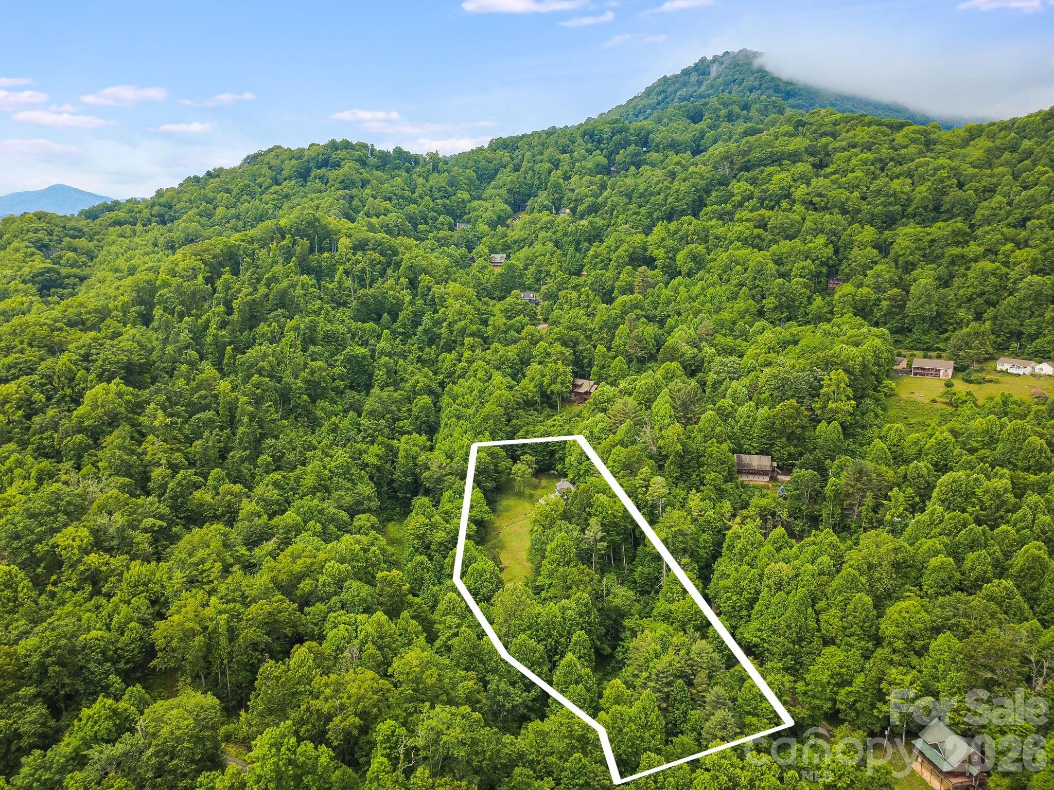 100 Woven Cloud Lane — Waynesville