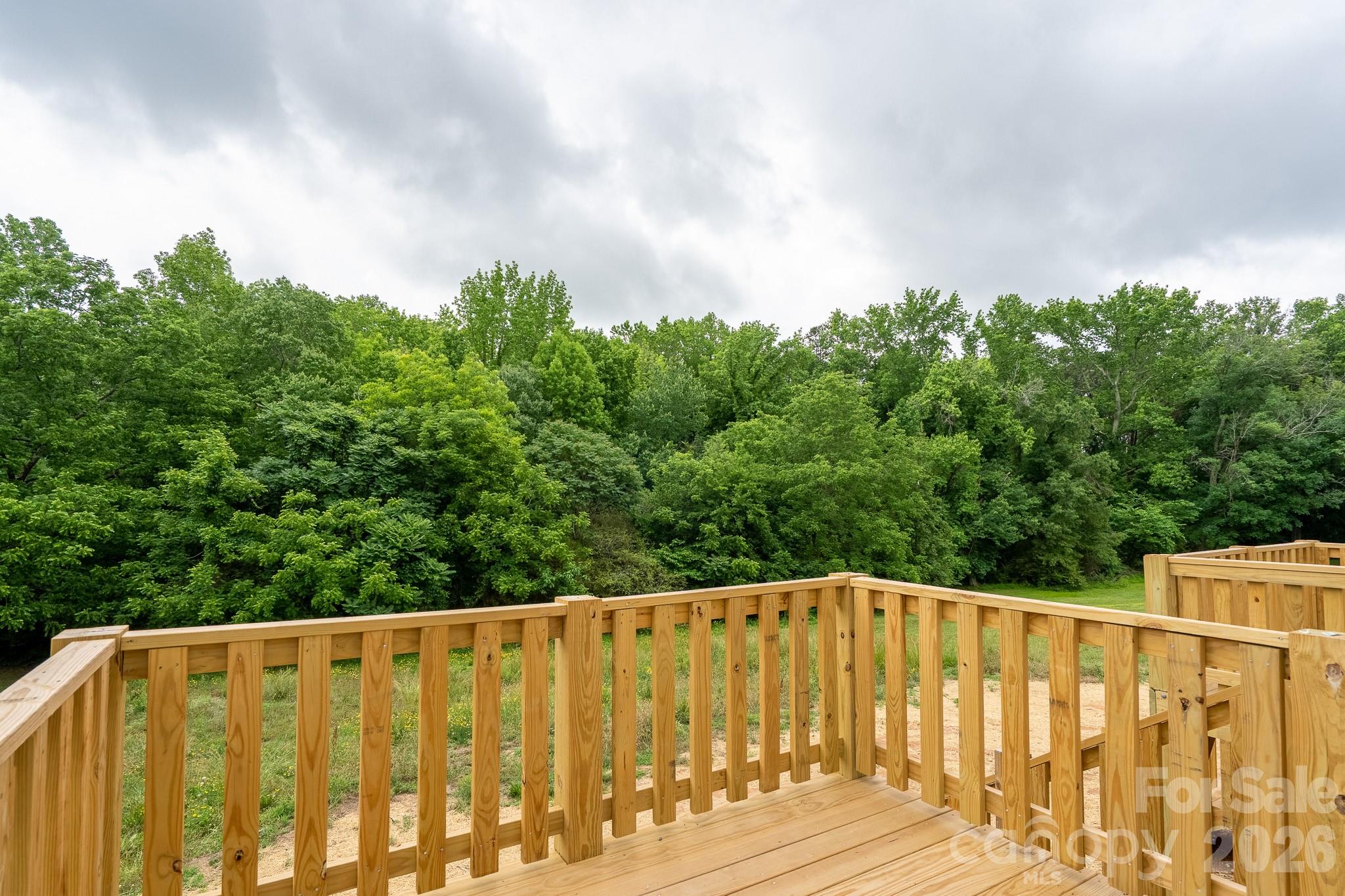 733 Irene Avenue — Kannapolis