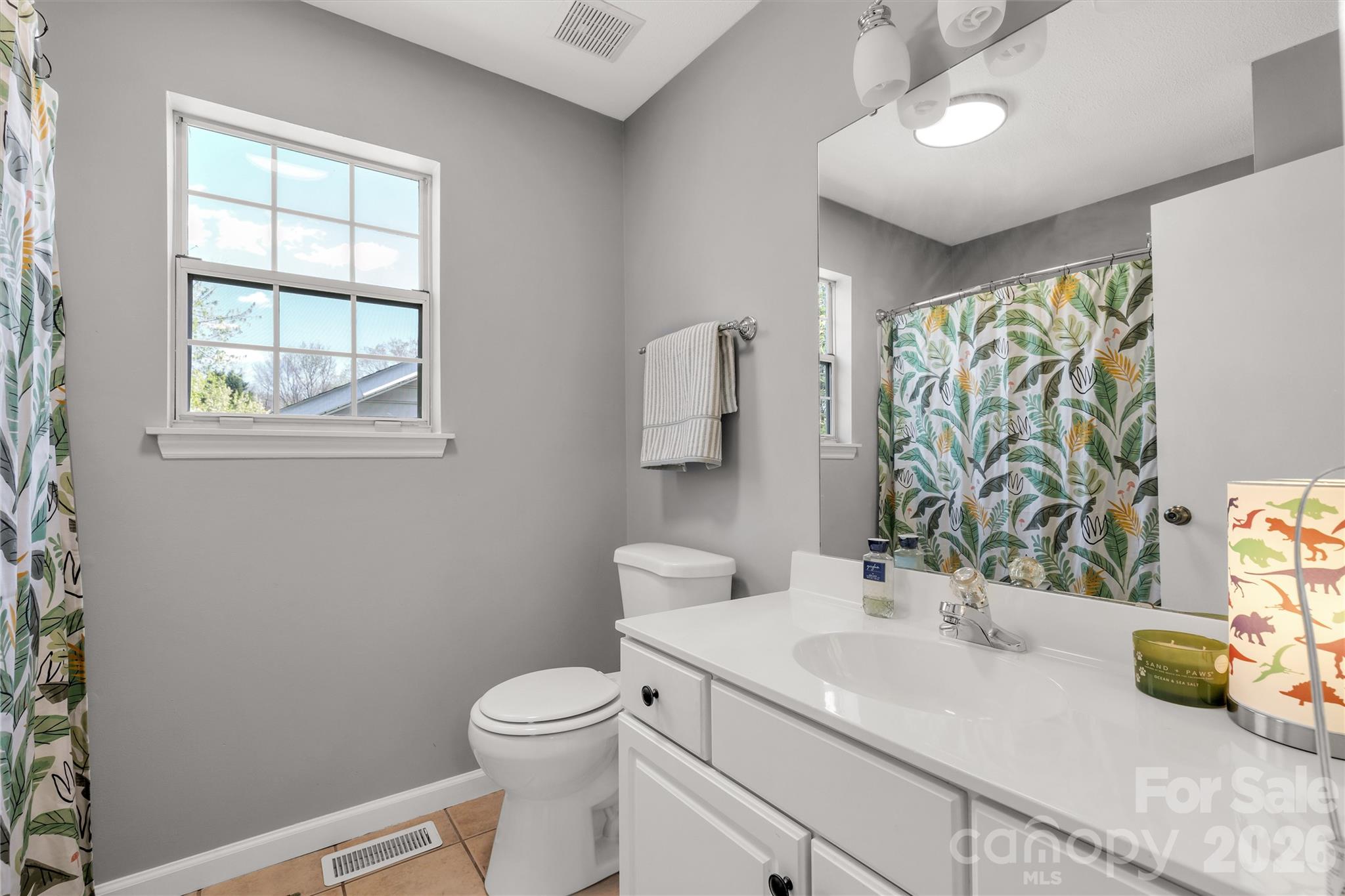 13213 Lampmeade Lane — Charlotte