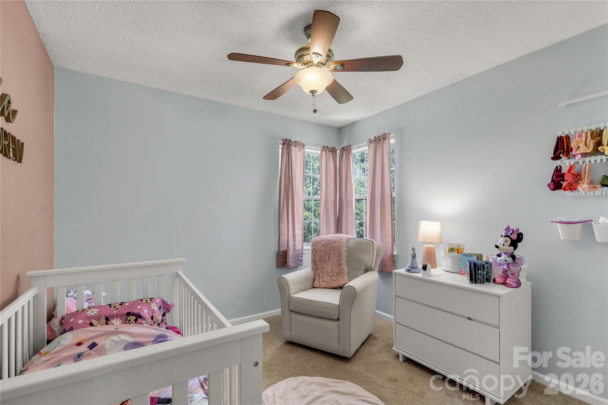 13213 Lampmeade Lane — Charlotte