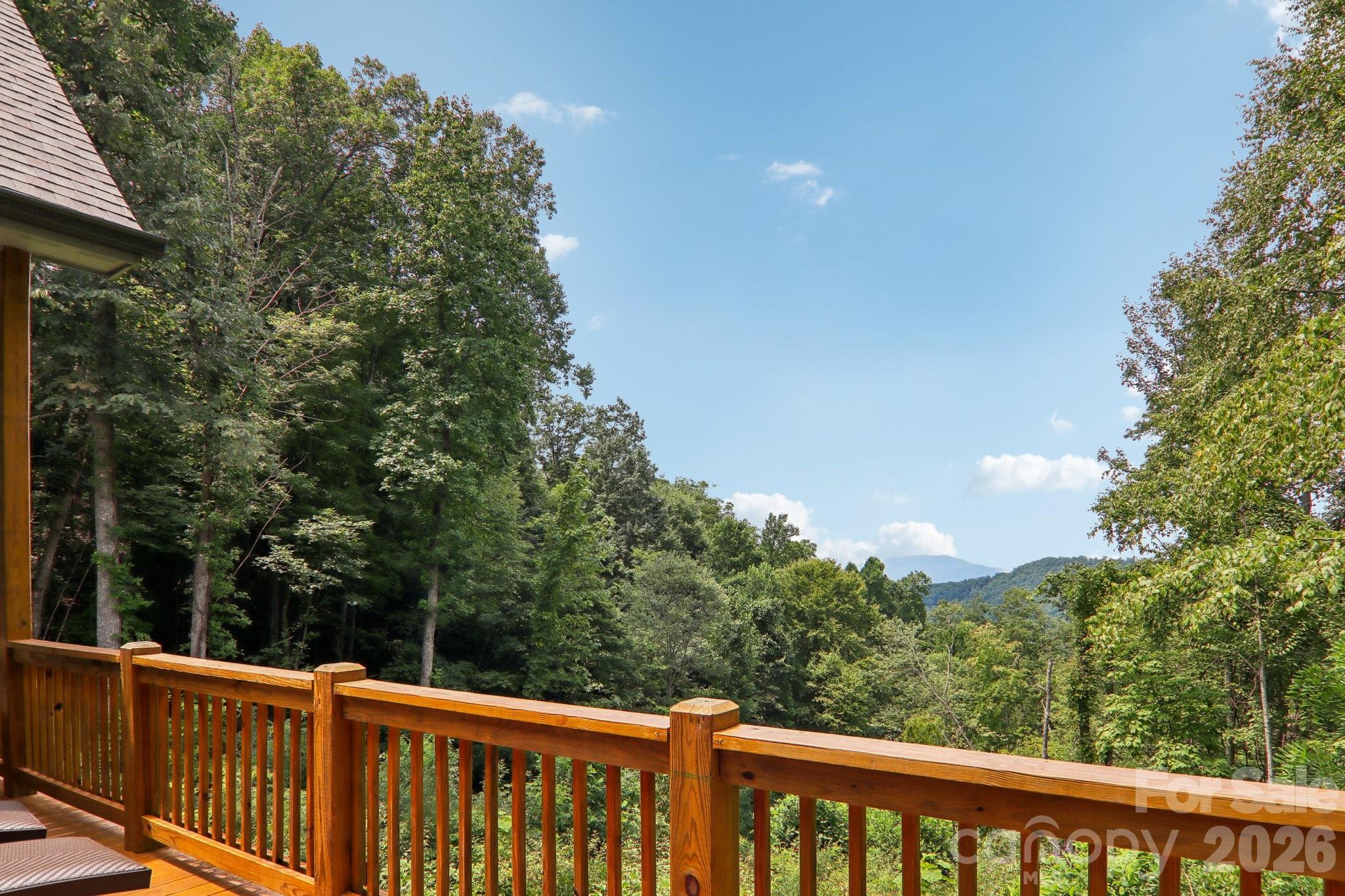 1105 Falls View Drive — Bryson City