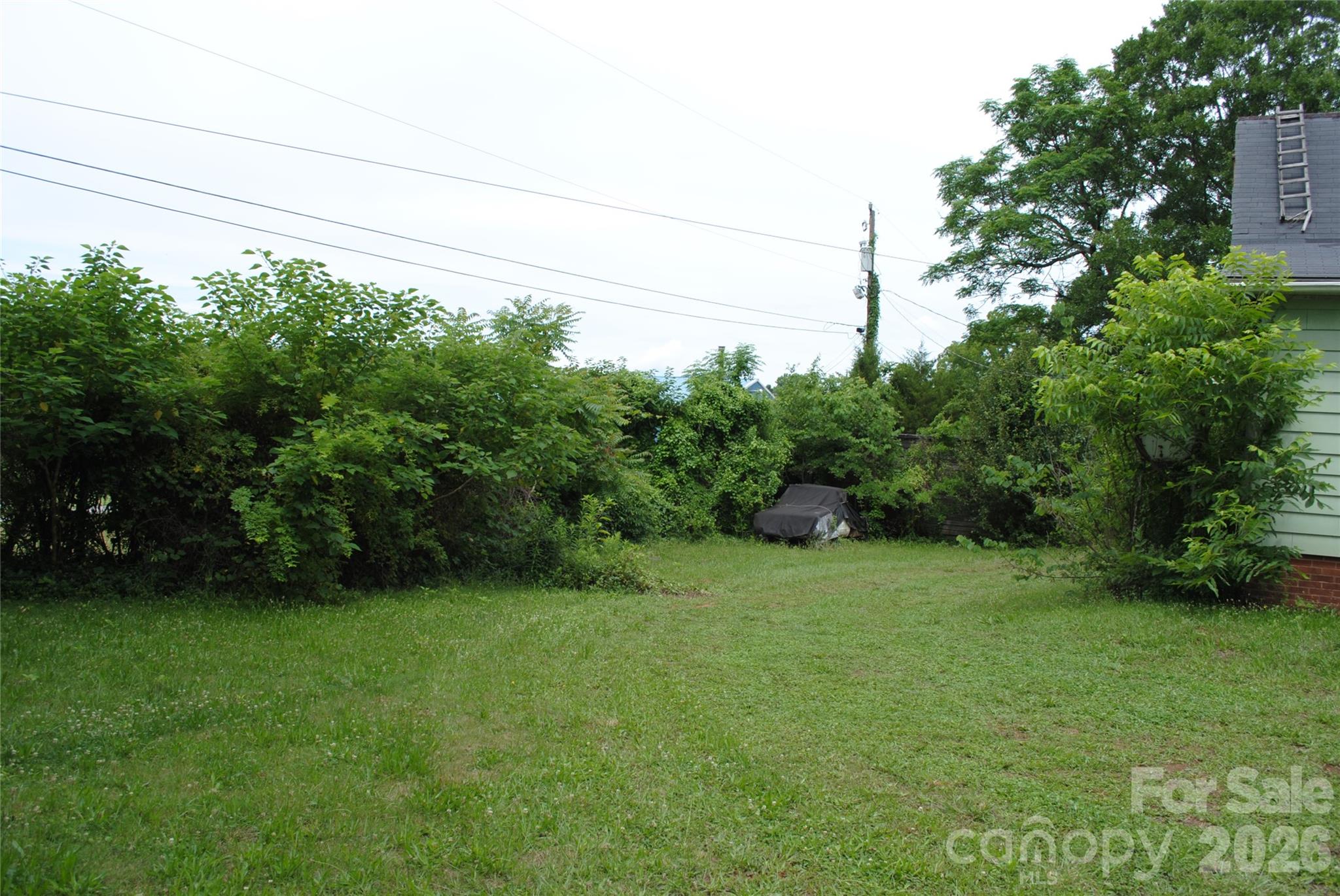 153 & 135 Caroleen Street — Forest City