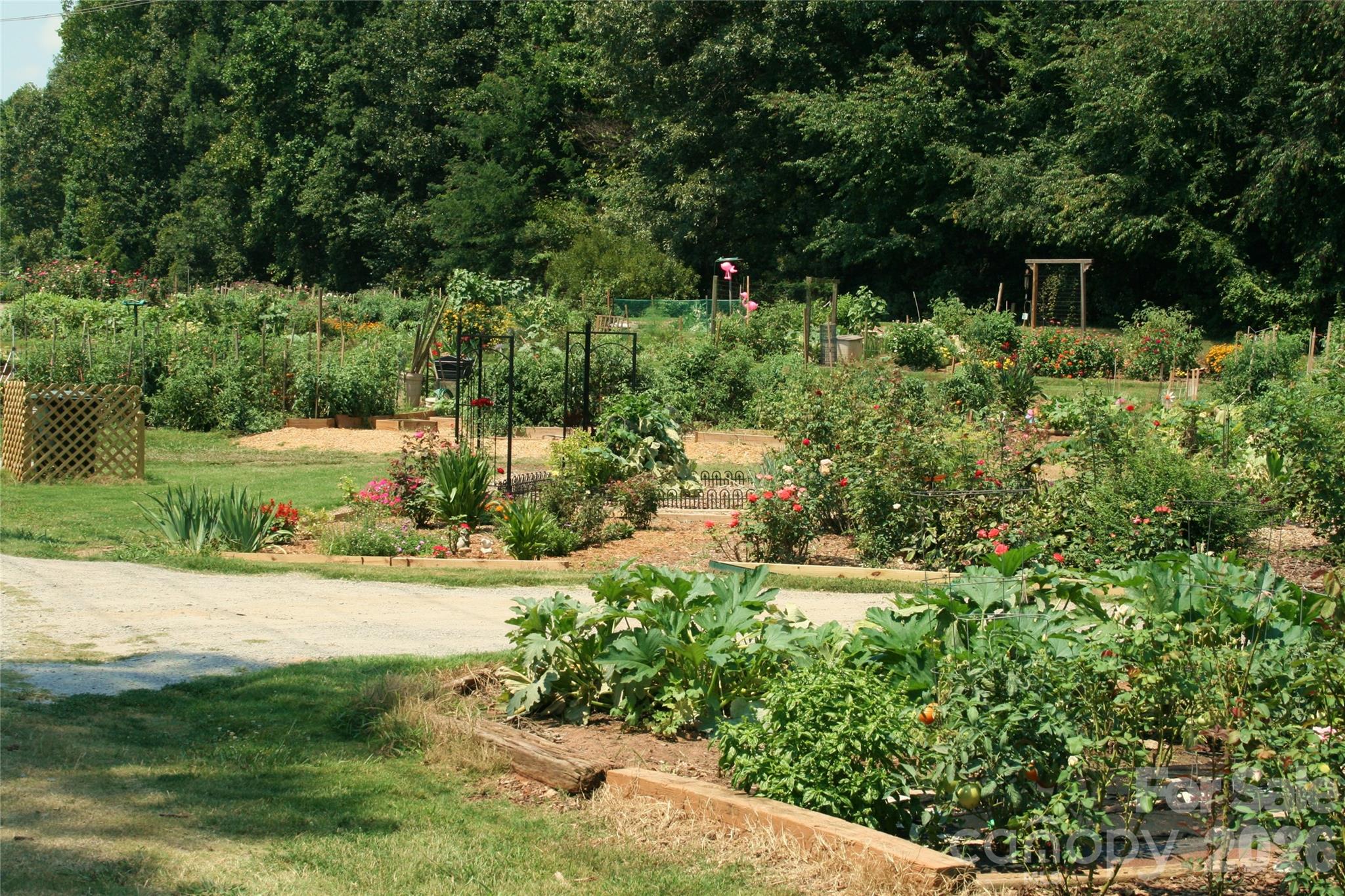 36 Water Thrush Road — Lake Wylie