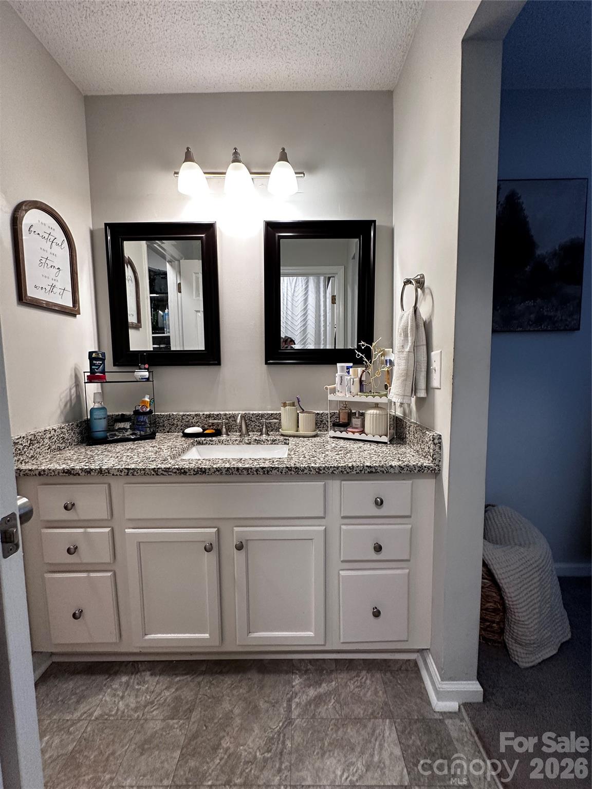 1341 E Cannon Avenue — Albemarle