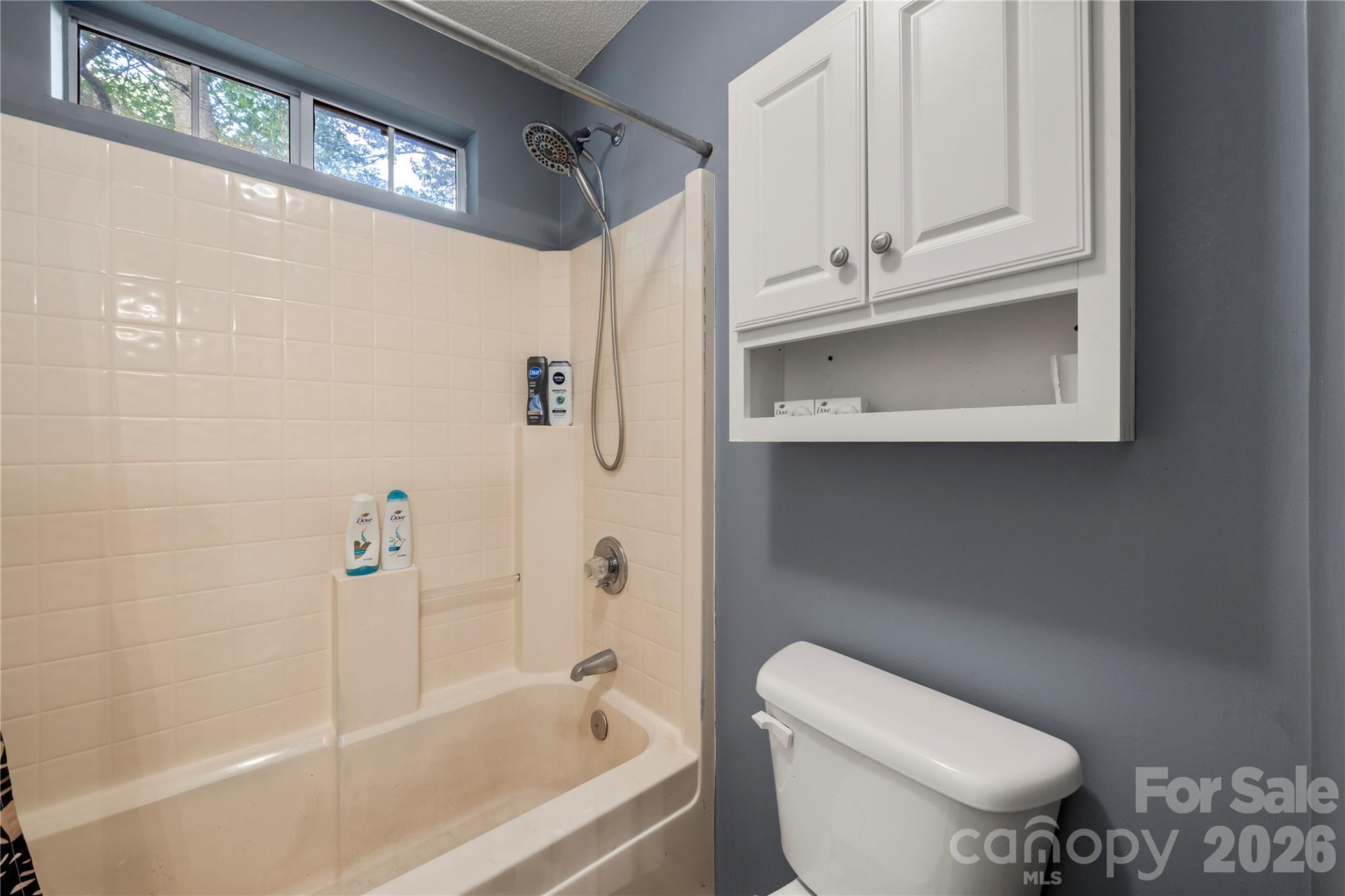 8411 Red Cypress Court — Charlotte