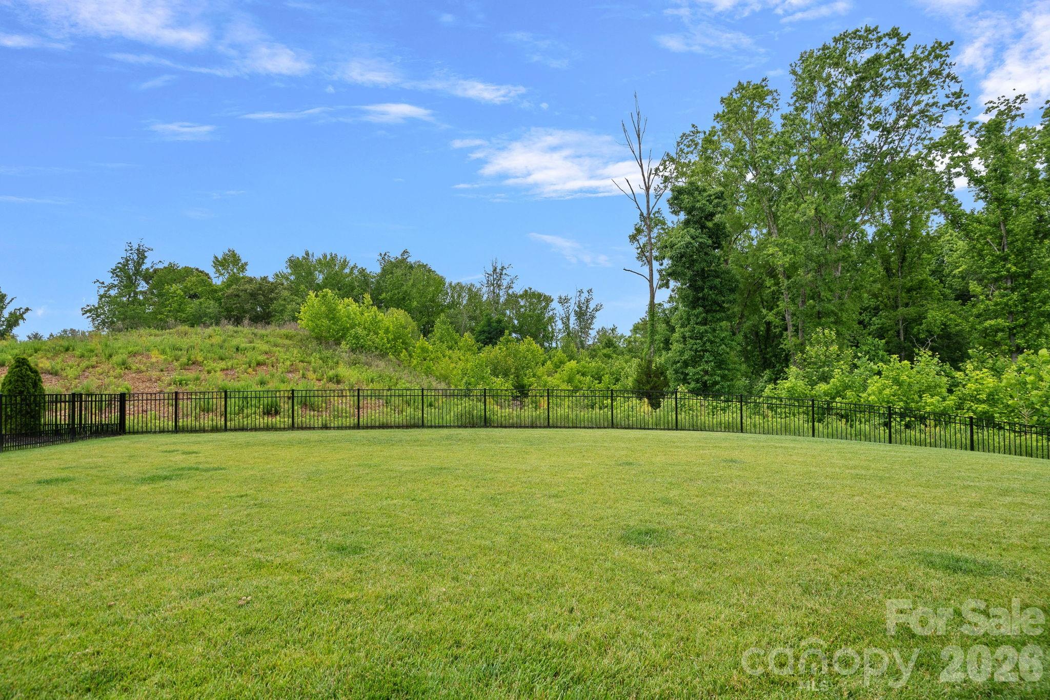 15018 Reese Finley Lane — Cornelius