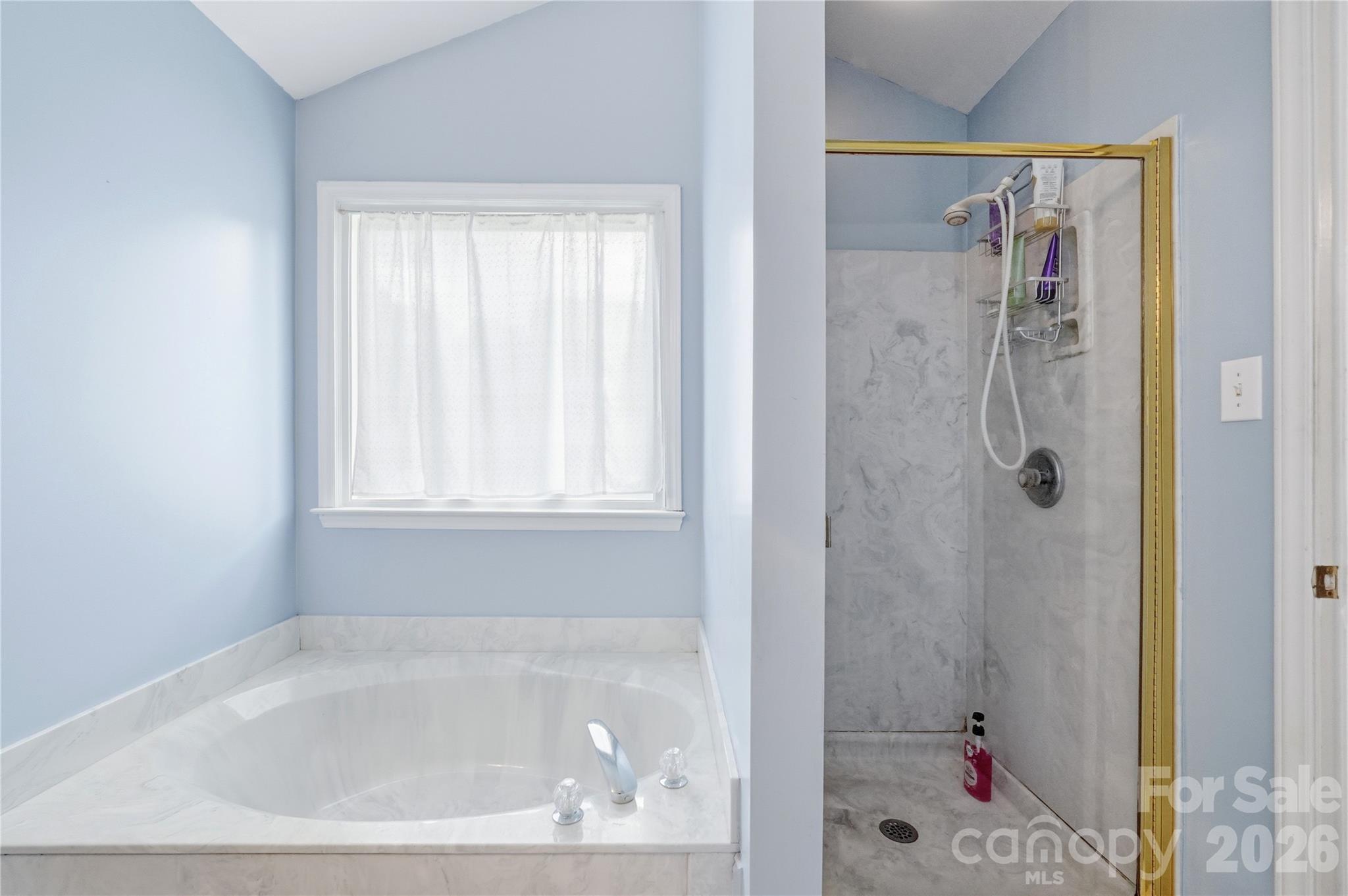 1009 Millwright Lane — Matthews