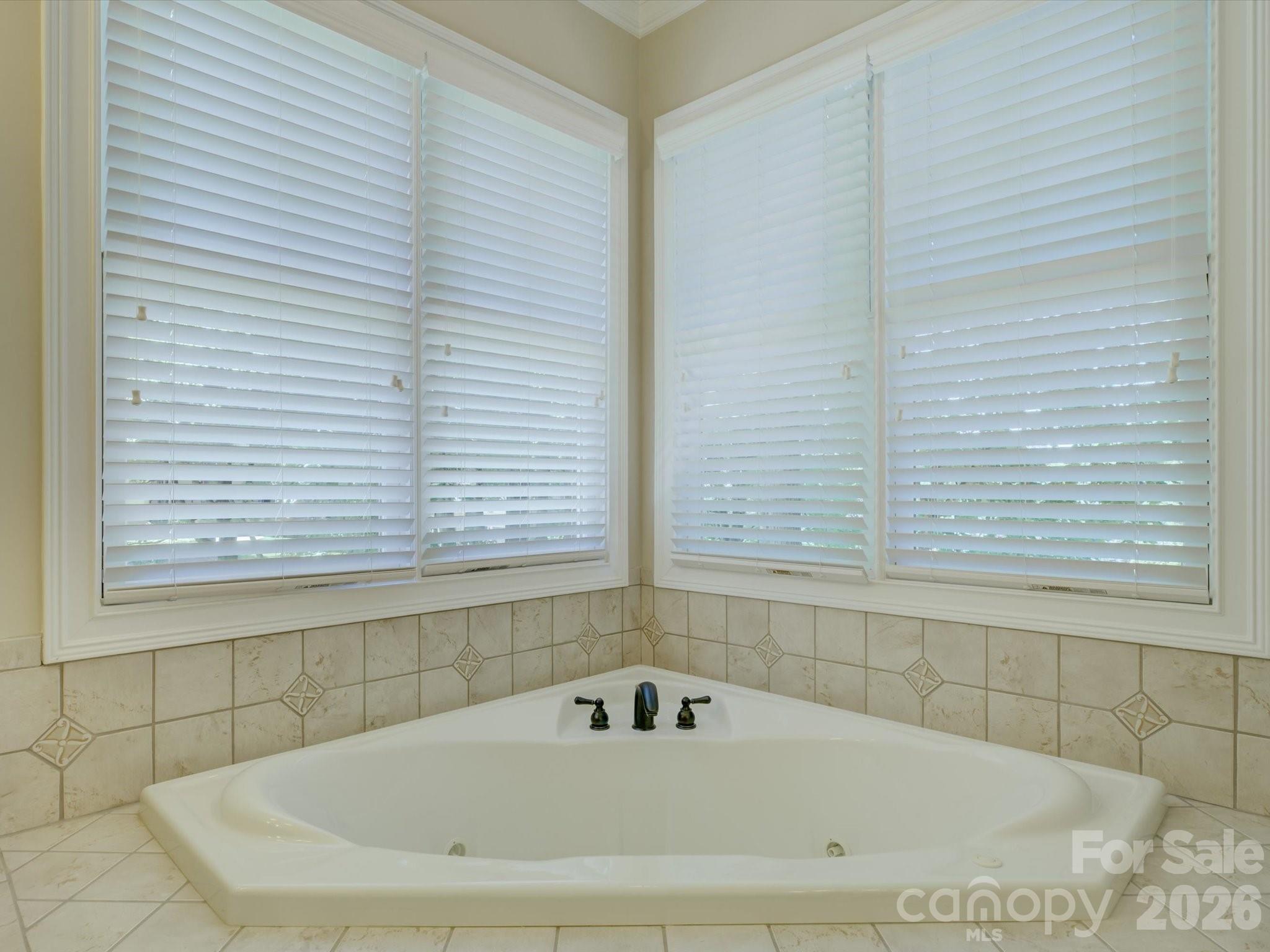 3912 Lake Spring Cove Court — Denver