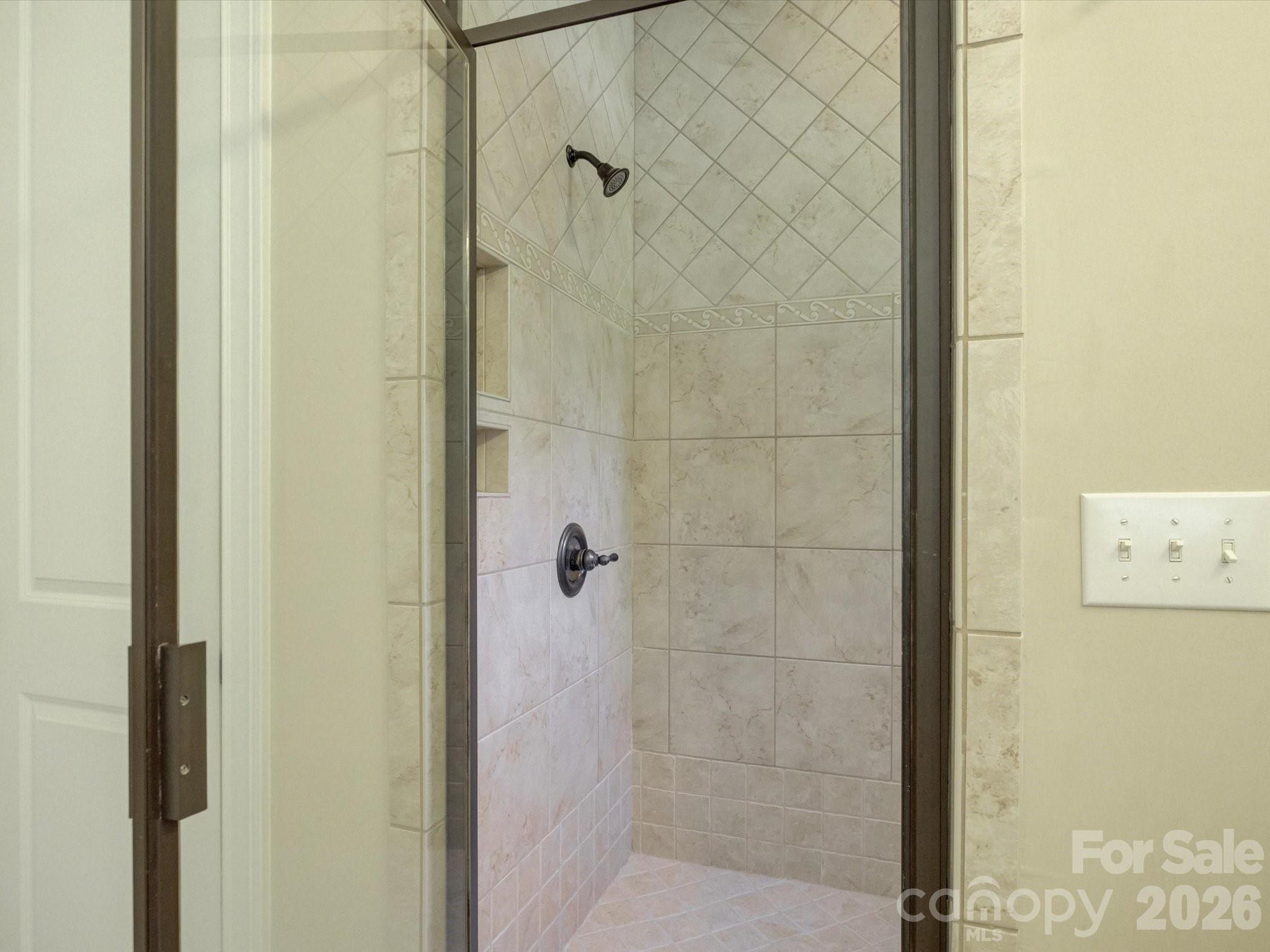 3912 Lake Spring Cove Court — Denver