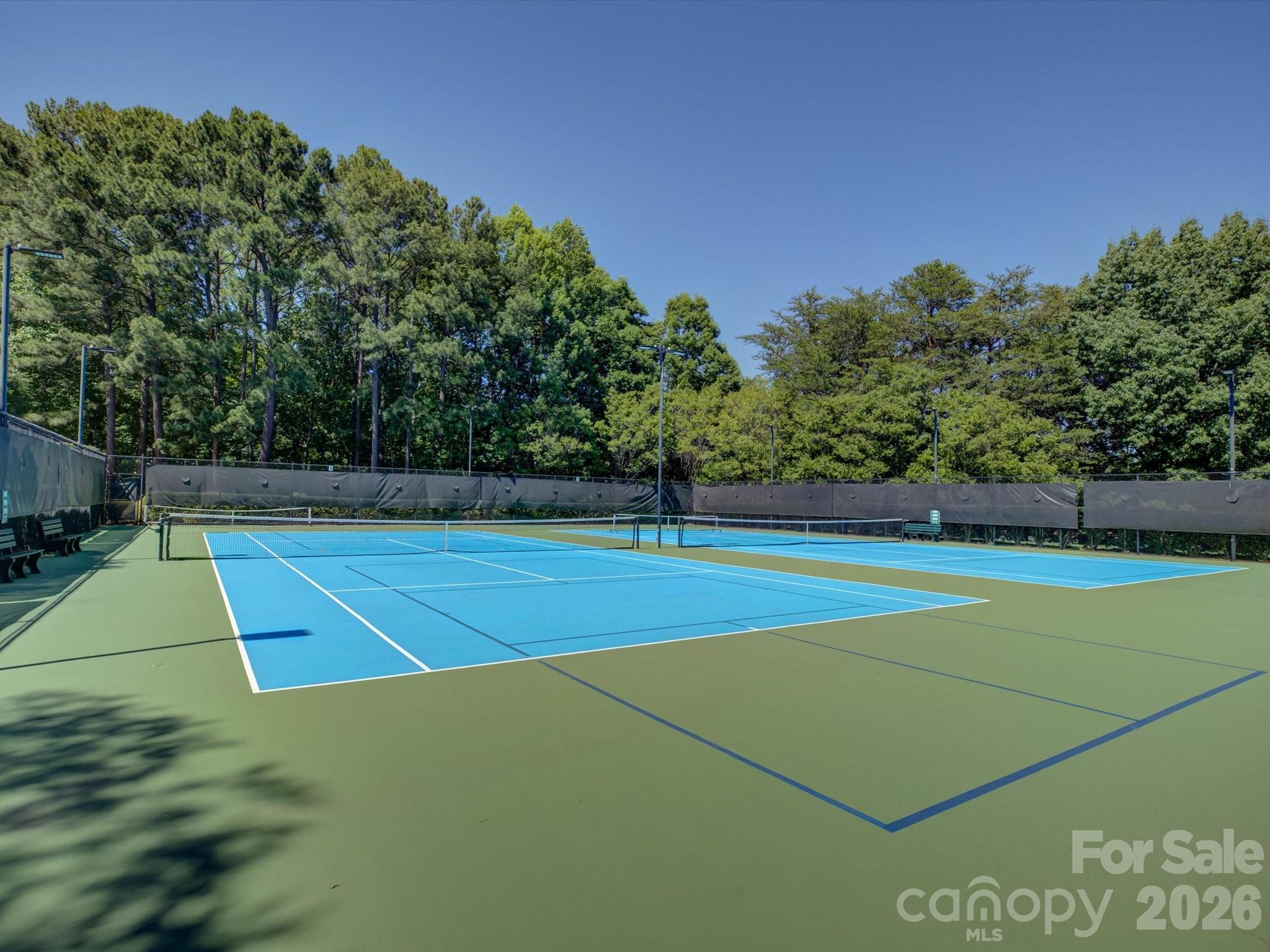 3912 Lake Spring Cove Court — Denver