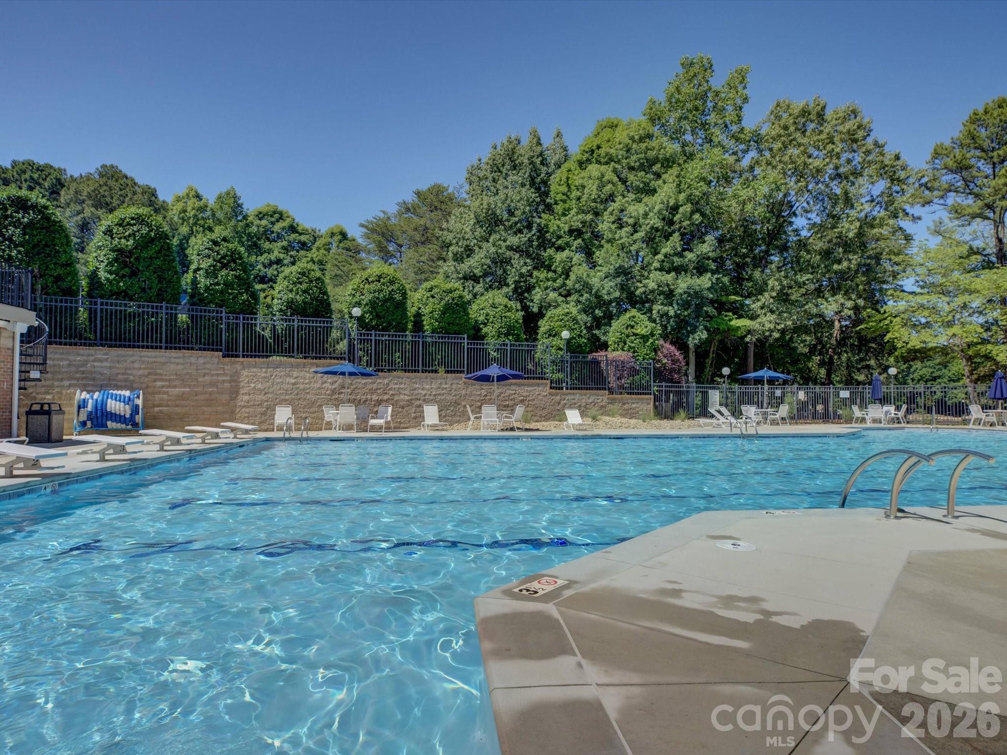 3912 Lake Spring Cove Court — Denver