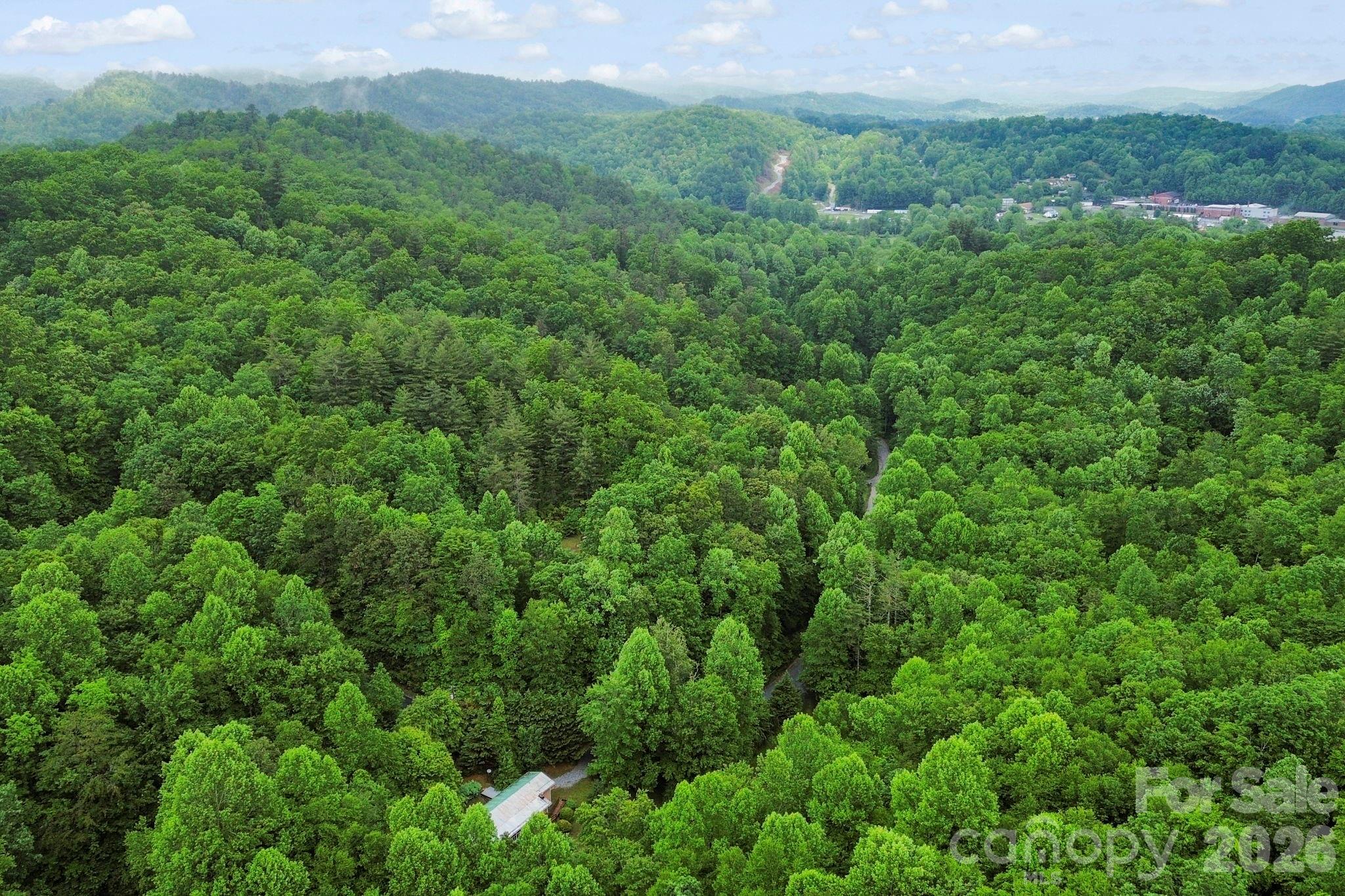 153 Gray Fox Road #5 — Rosman