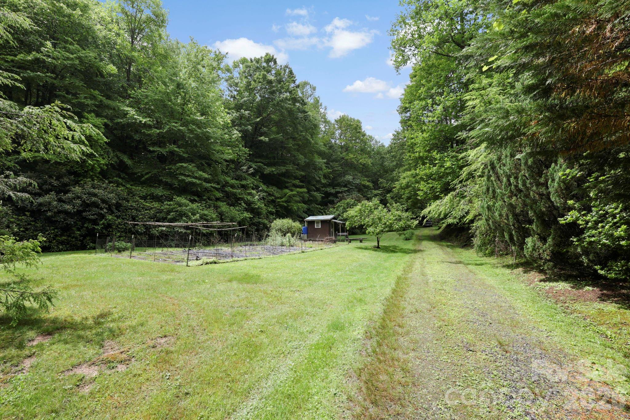 153 Gray Fox Road #5 — Rosman