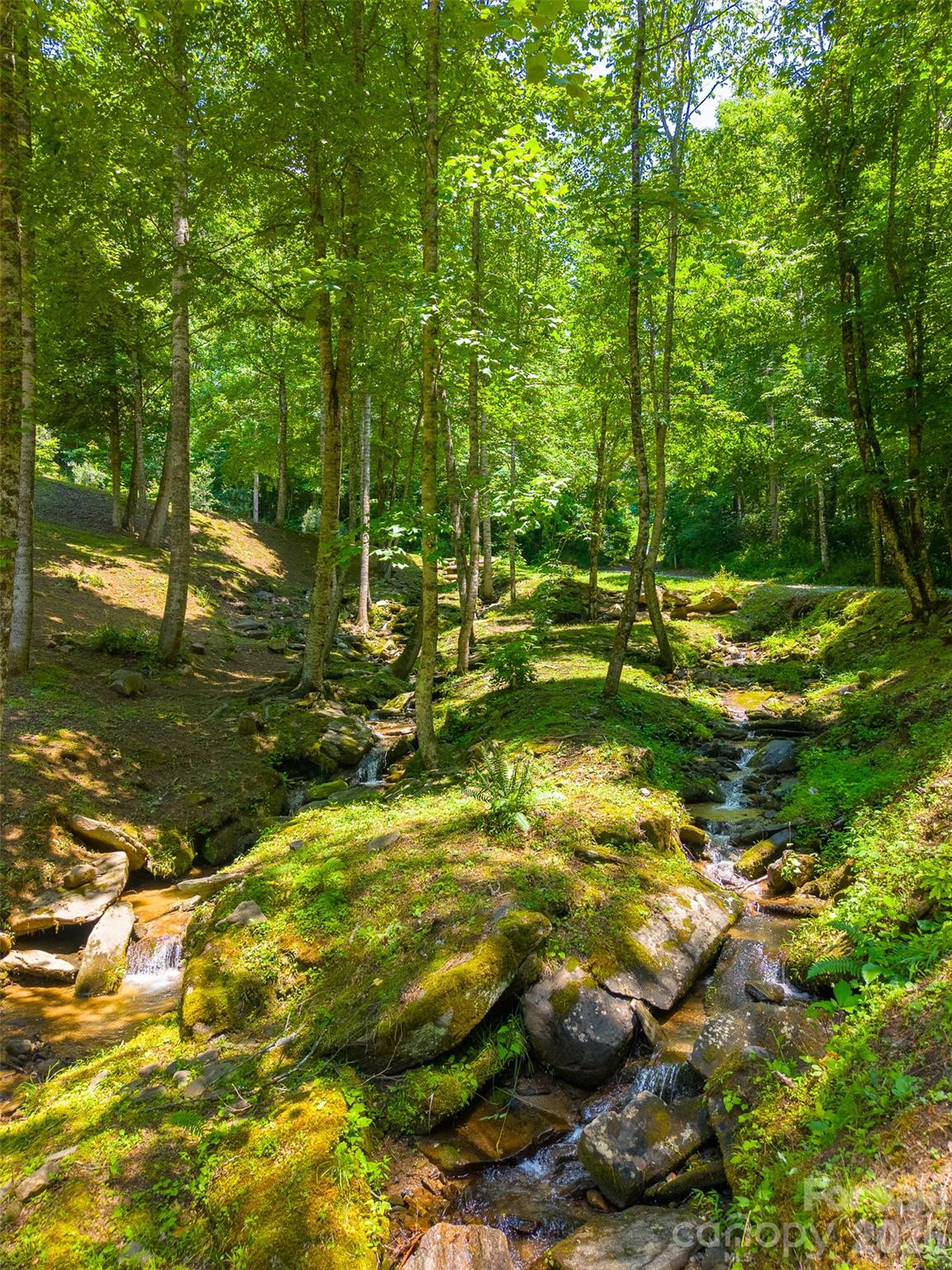 77 Pigeon Creek Trail — Bryson City