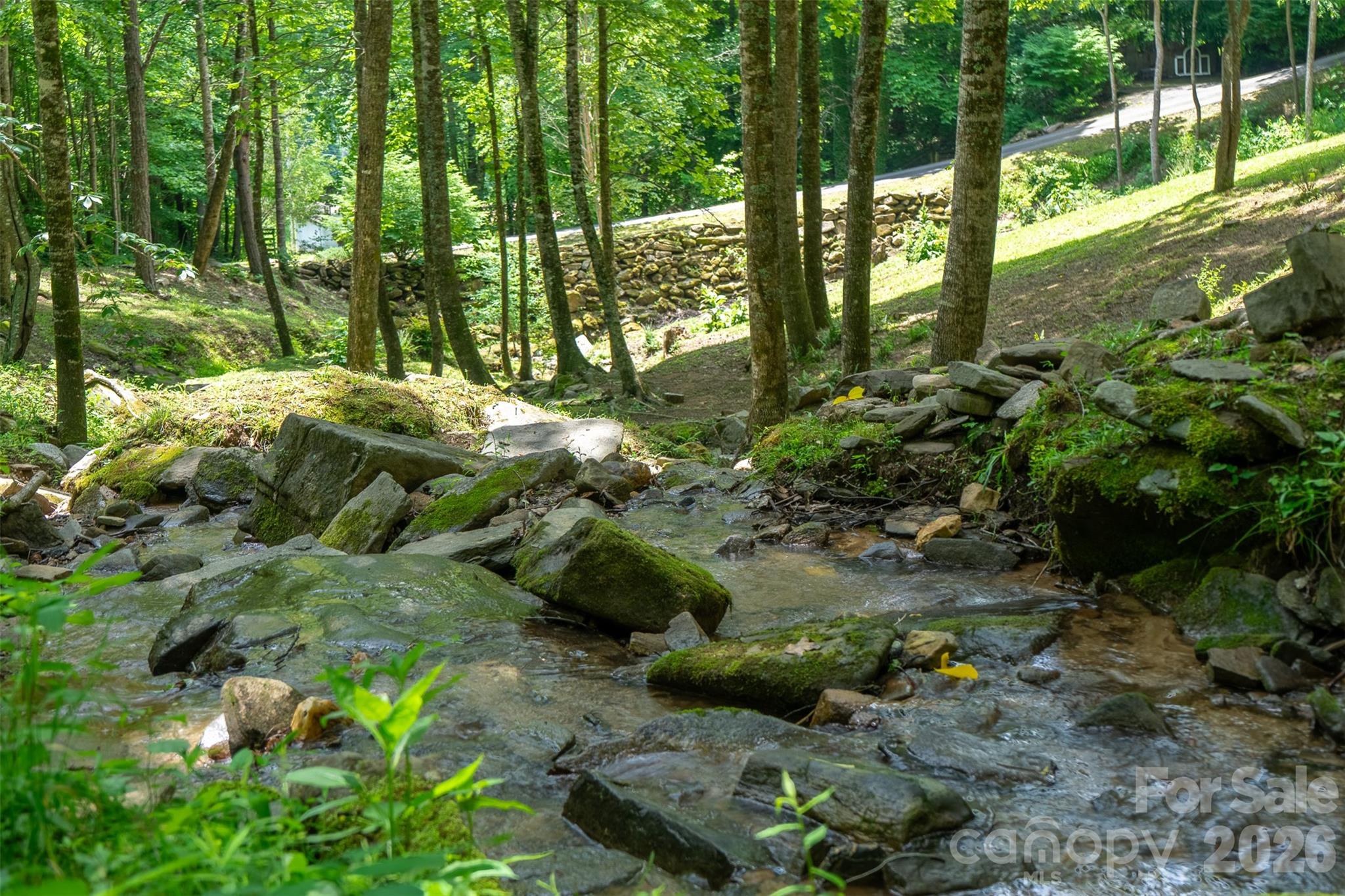 77 Pigeon Creek Trail — Bryson City