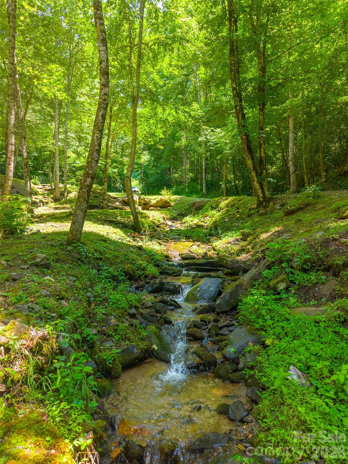 77 Pigeon Creek Trail — Bryson City