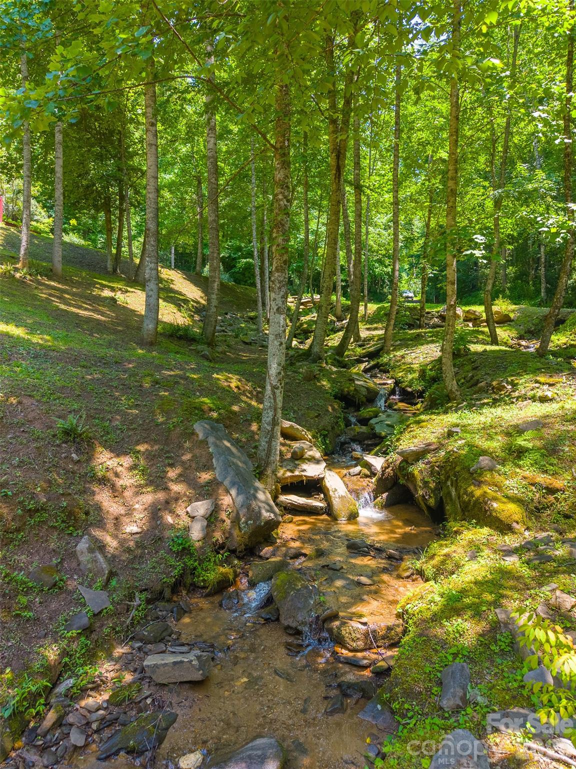 77 Pigeon Creek Trail — Bryson City