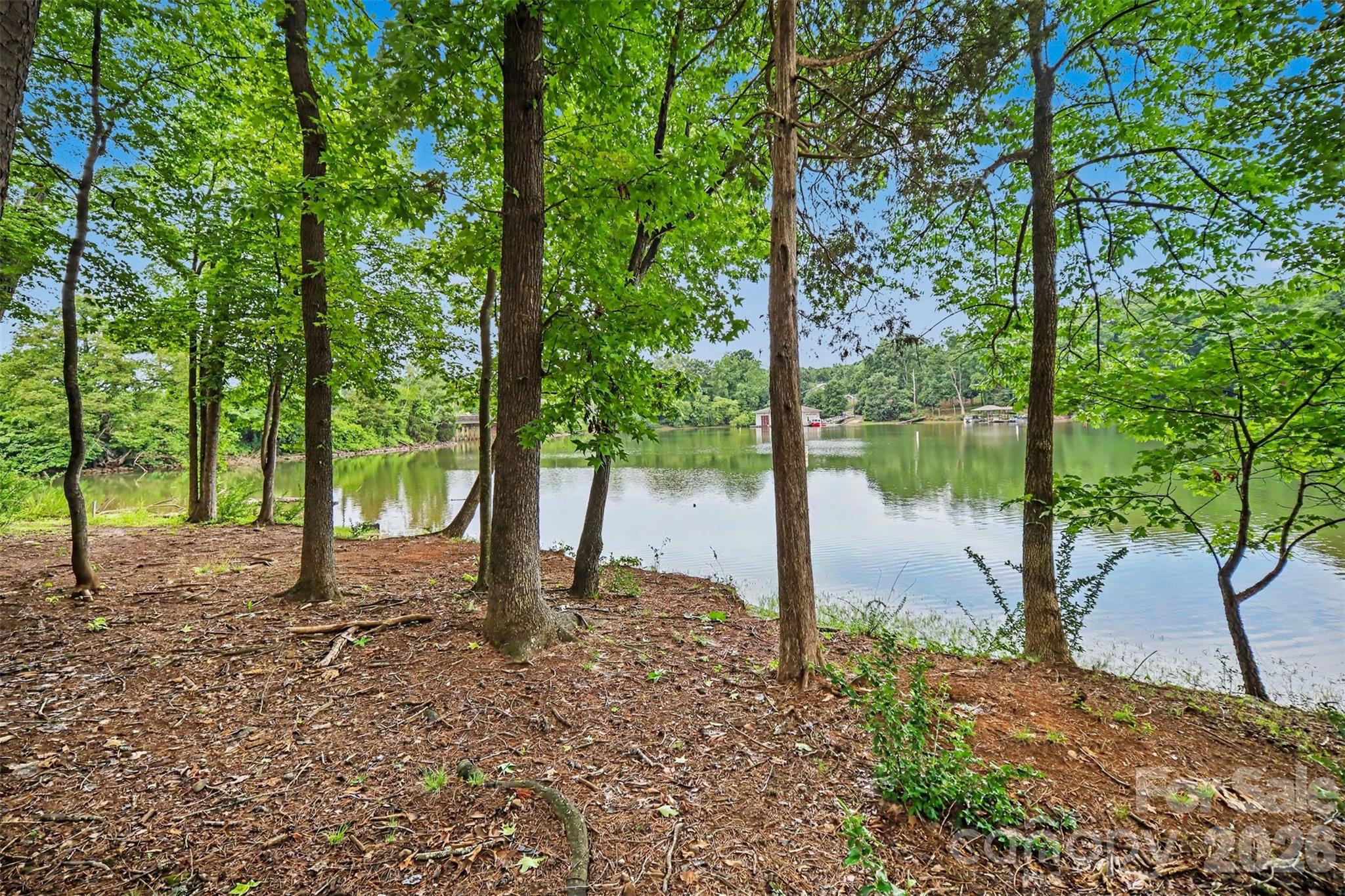 10718 Cove Point Drive — Charlotte