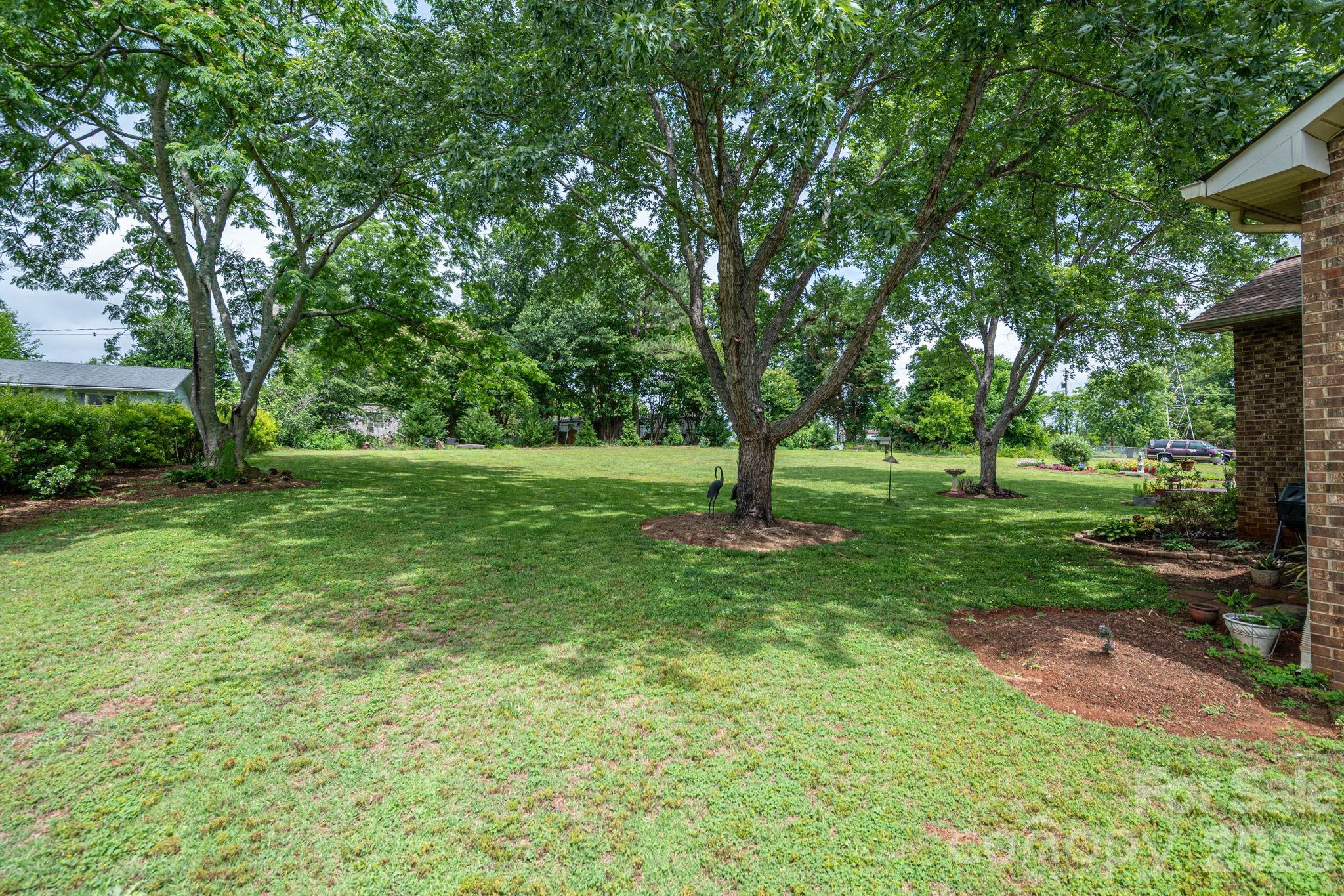 3815 Wild Cherry Road — Shelby
