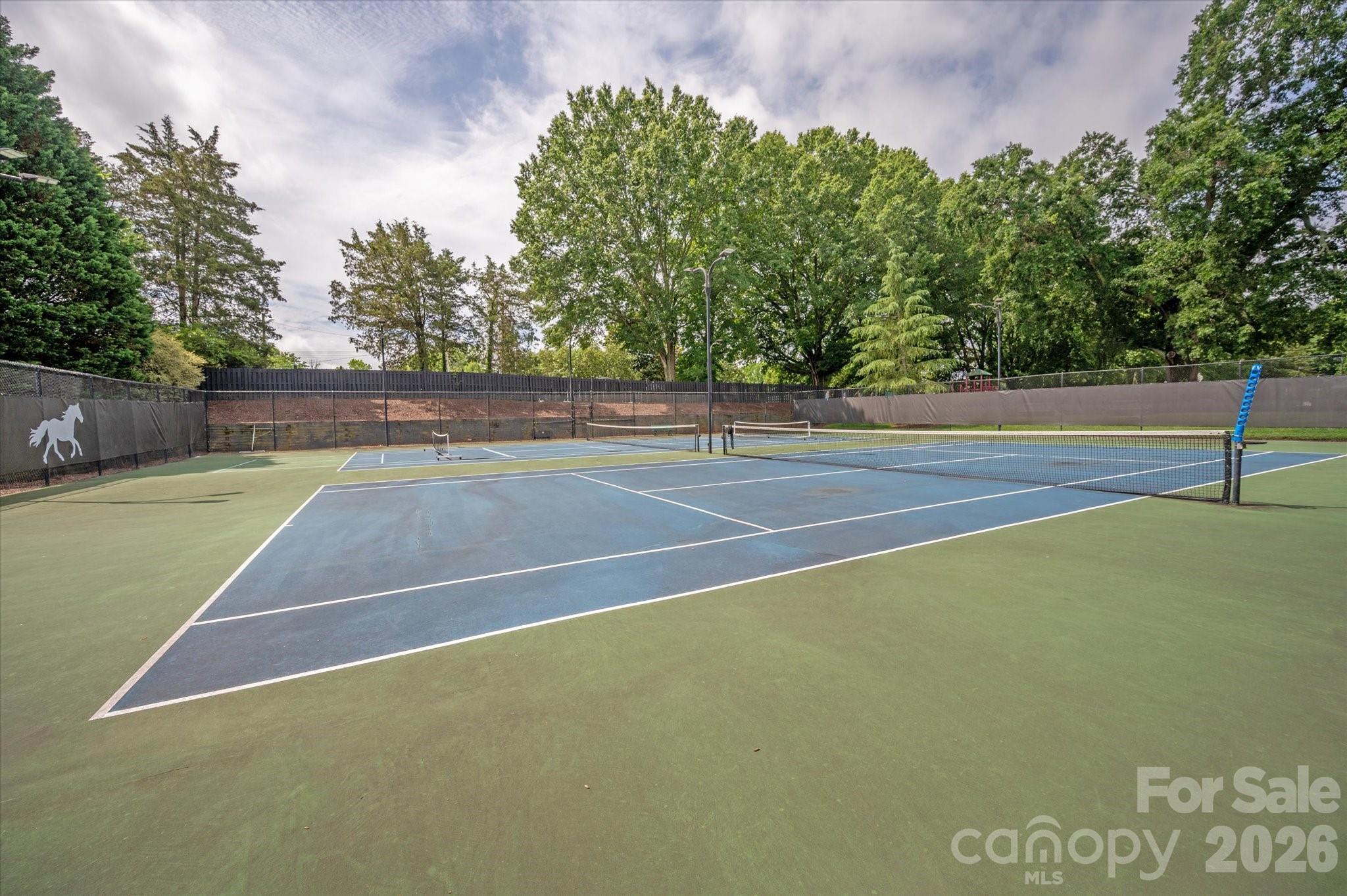 8709 Victory Gallop Court — Waxhaw