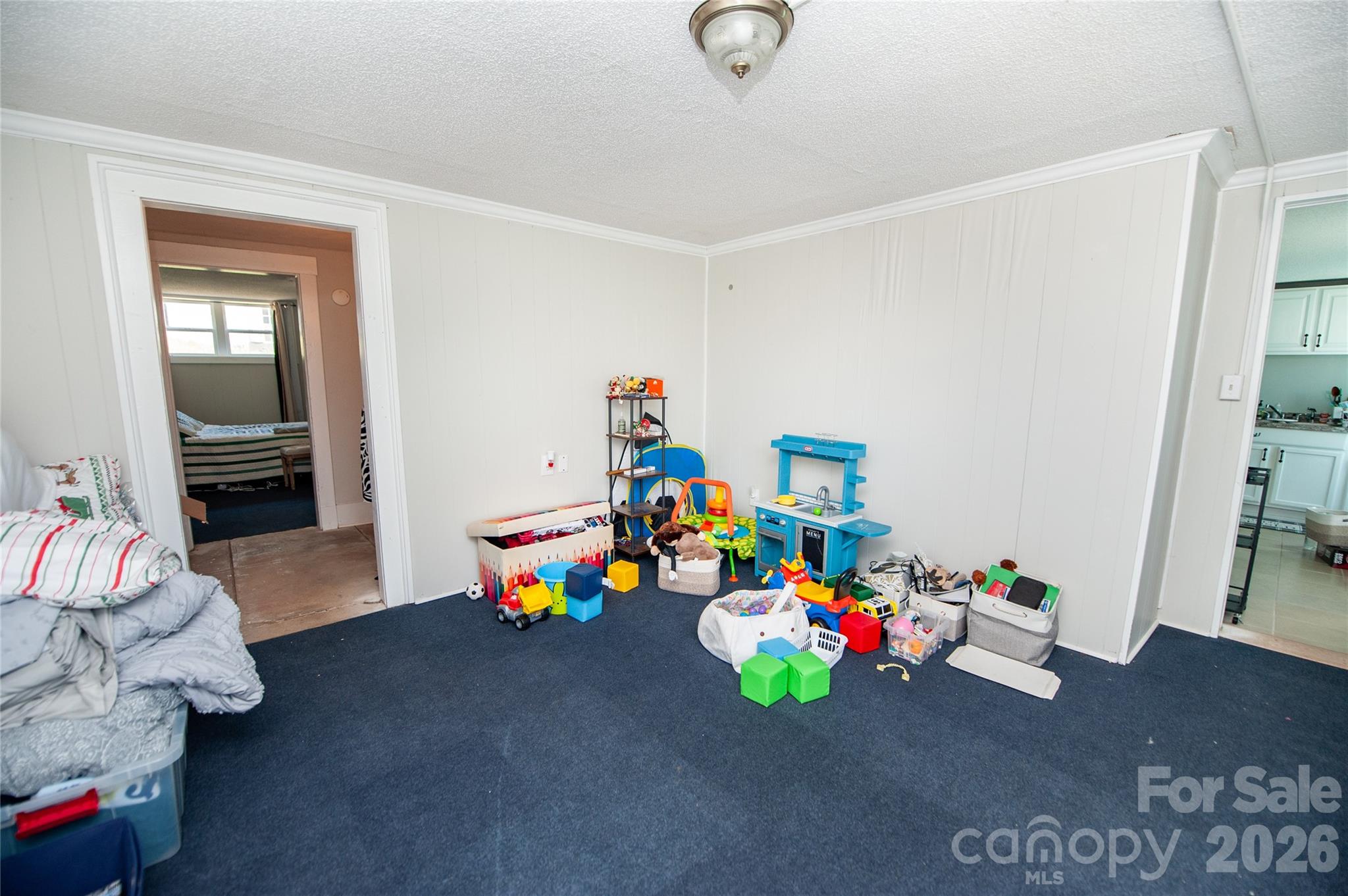 128 Fleming Avenue — Pacolet