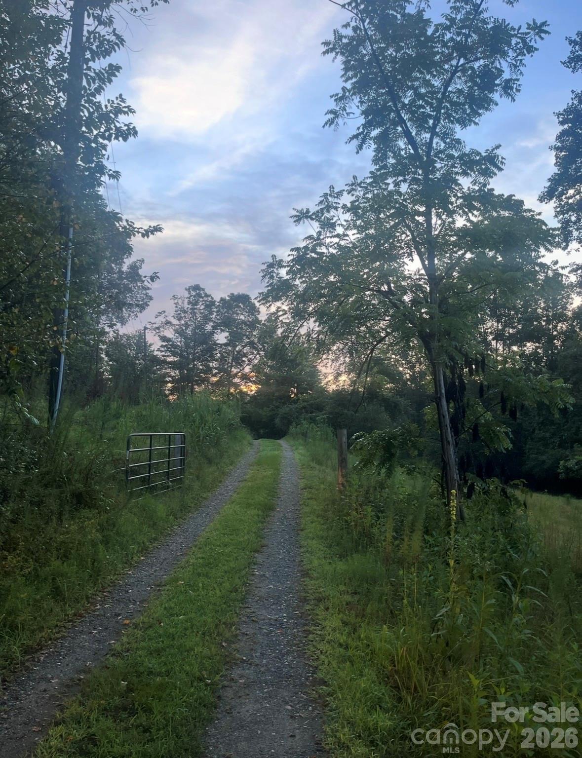 1239 W McGuinn Road — Mill Spring