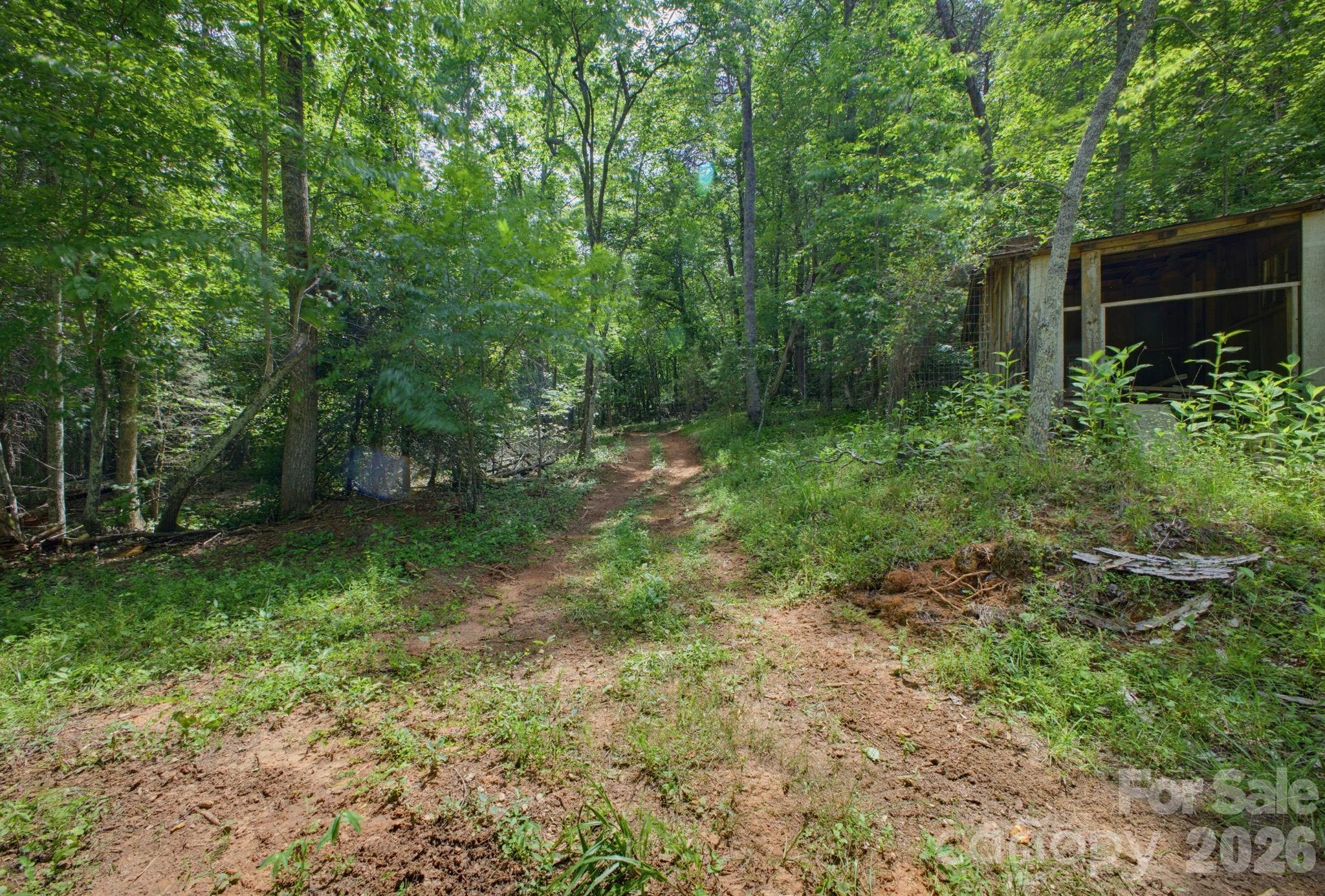 1239 W McGuinn Road — Mill Spring