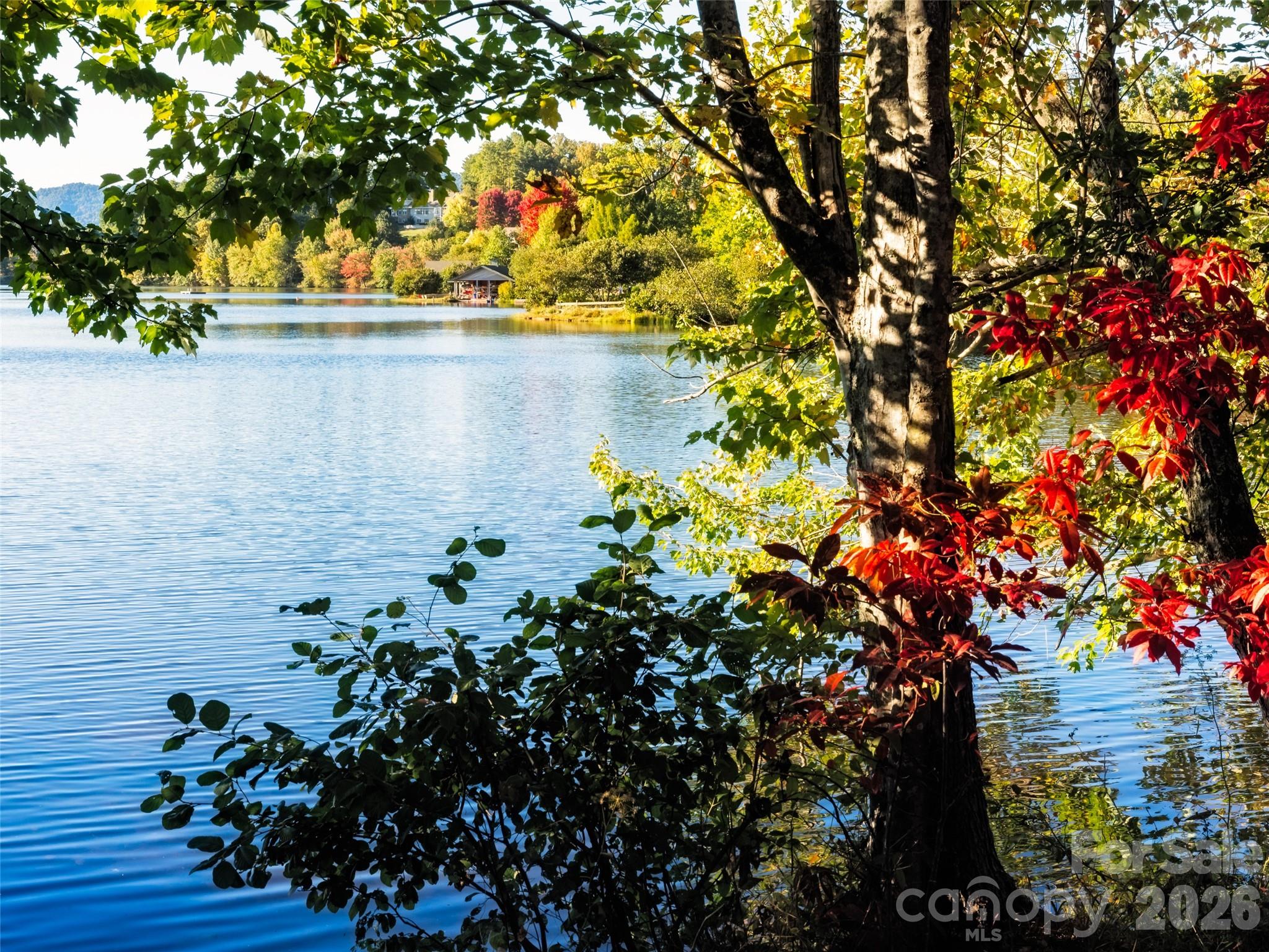 26 Black Horse Run — Biltmore Lake