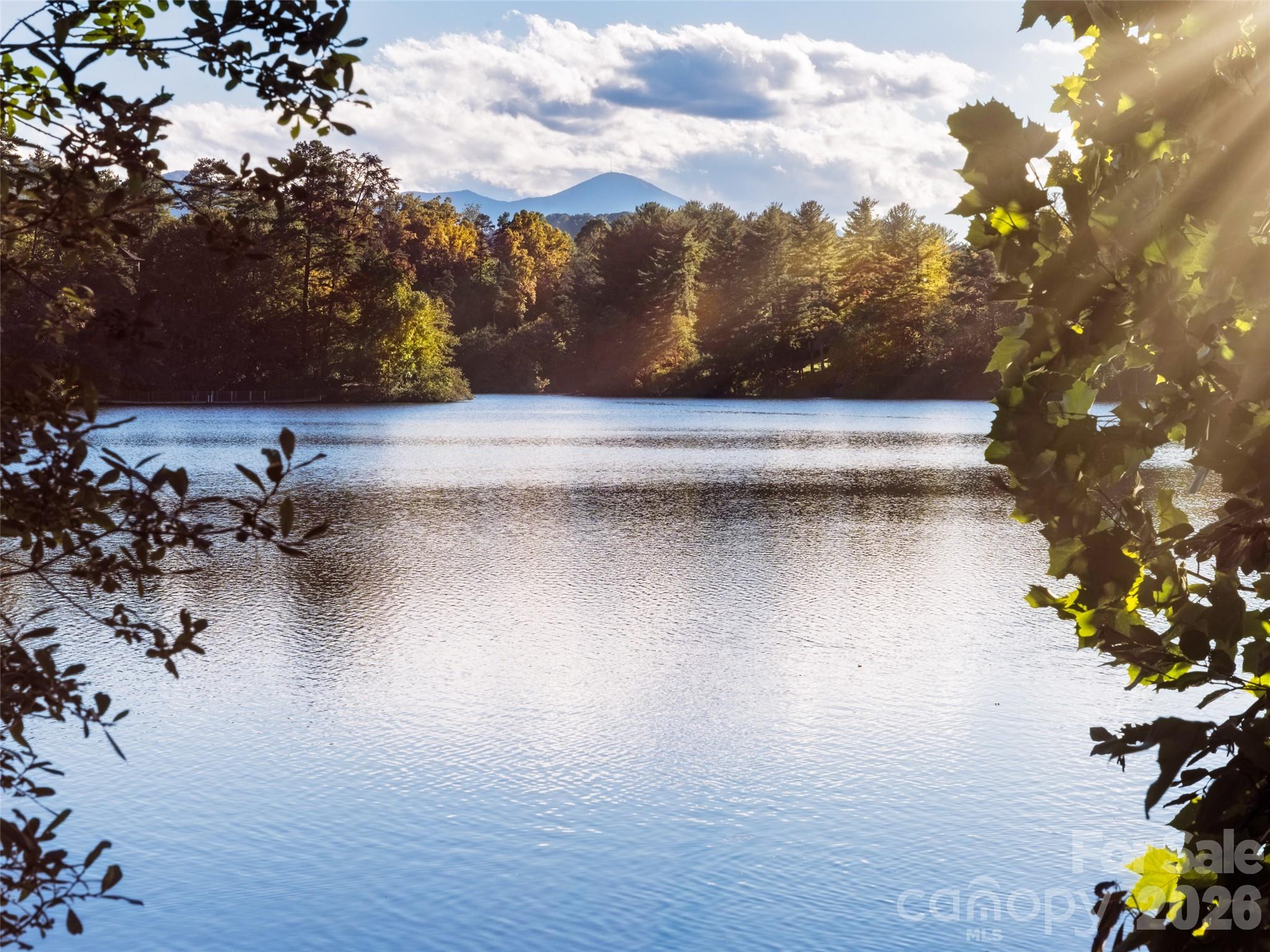 26 Black Horse Run — Biltmore Lake