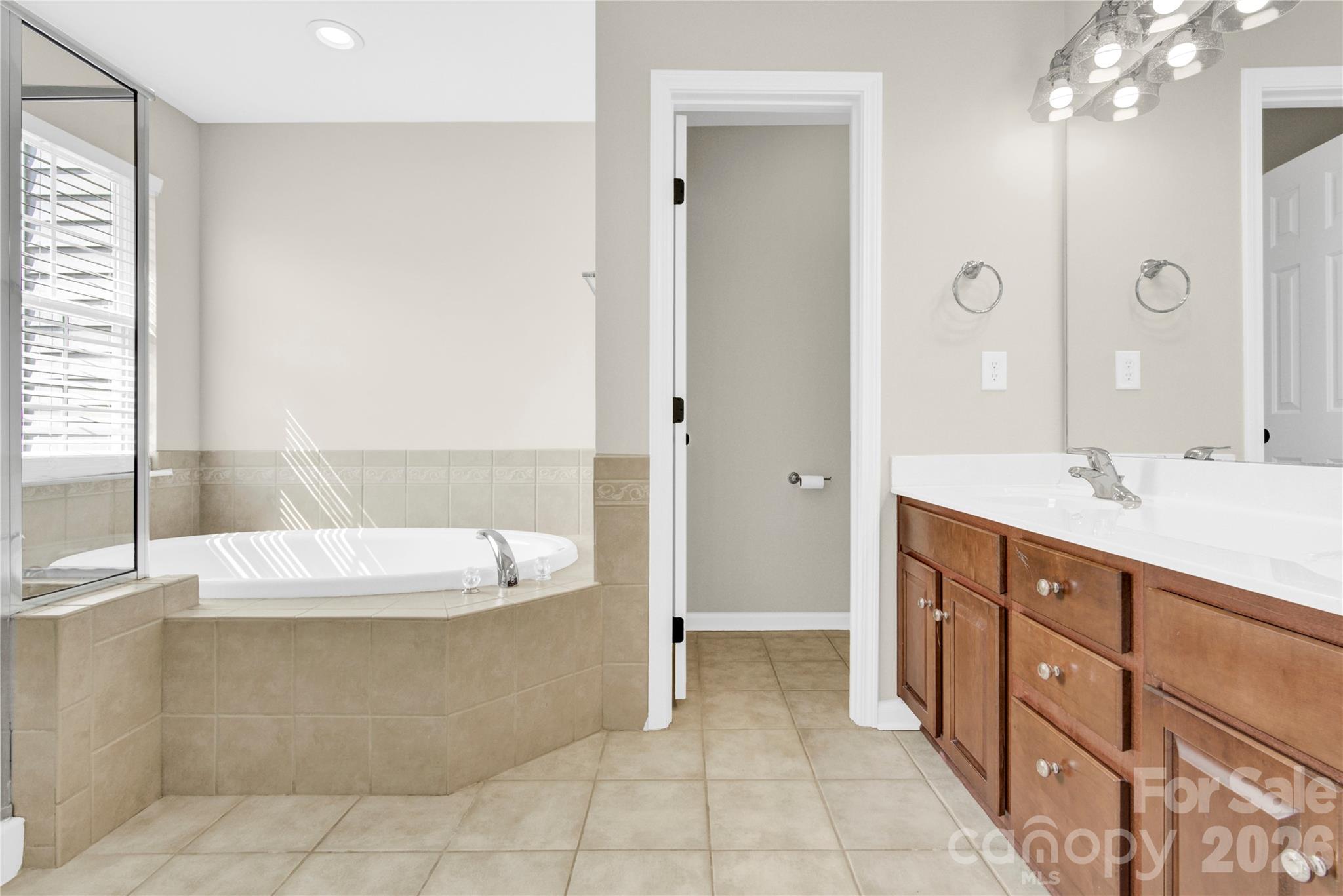 20528 Harbor View Drive — Cornelius