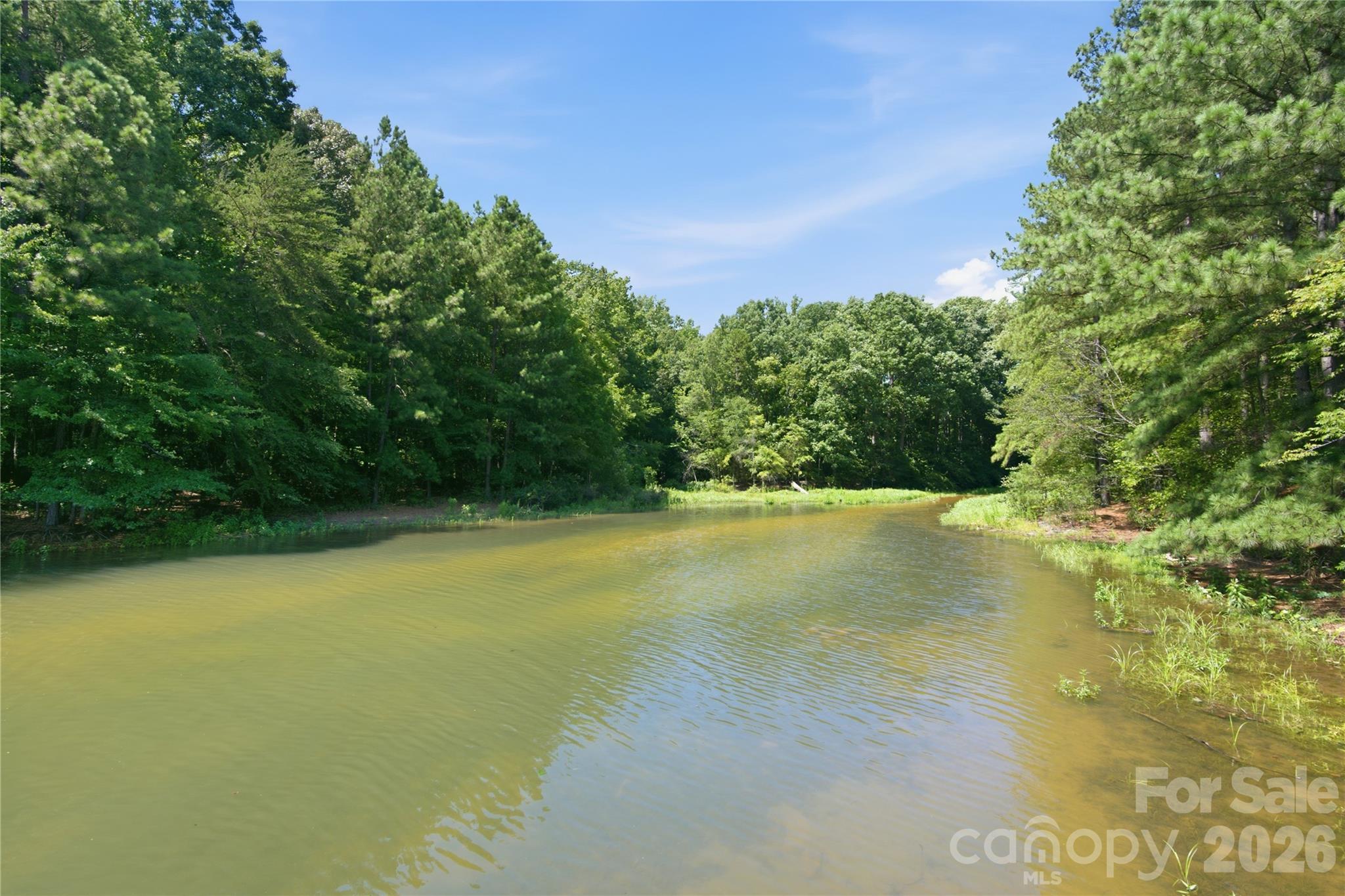 20528 Harbor View Drive — Cornelius