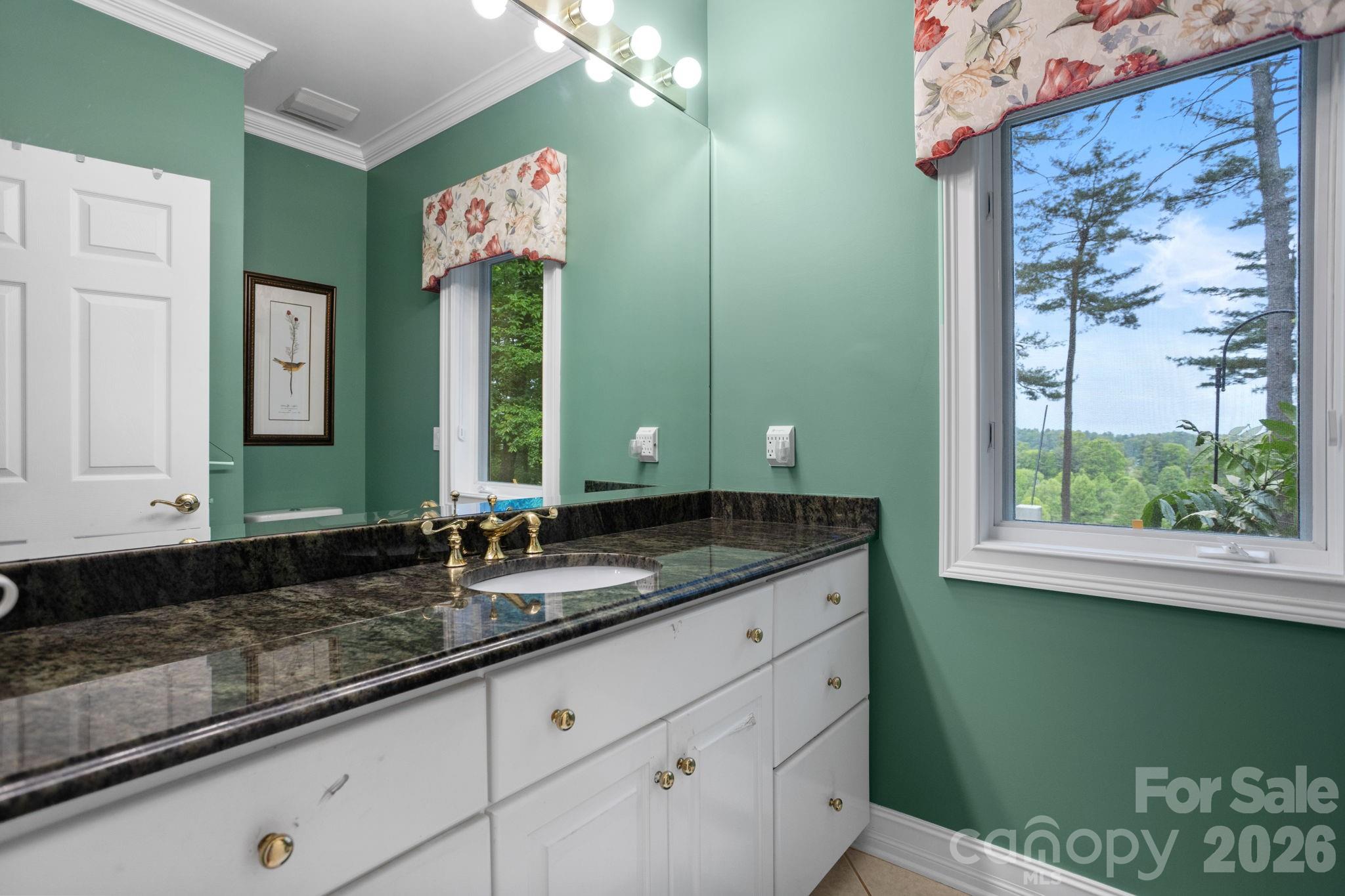 209 Pineholt Lane — Flat Rock