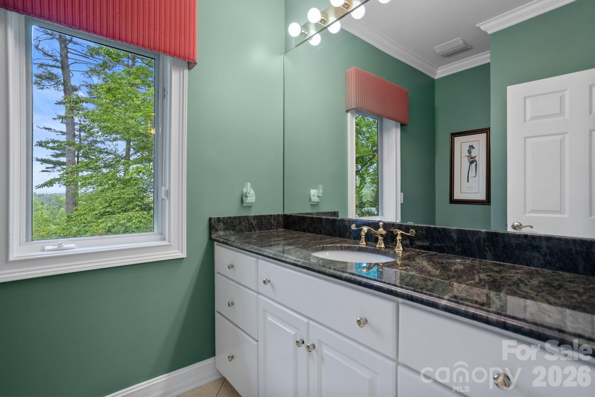 209 Pineholt Lane — Flat Rock
